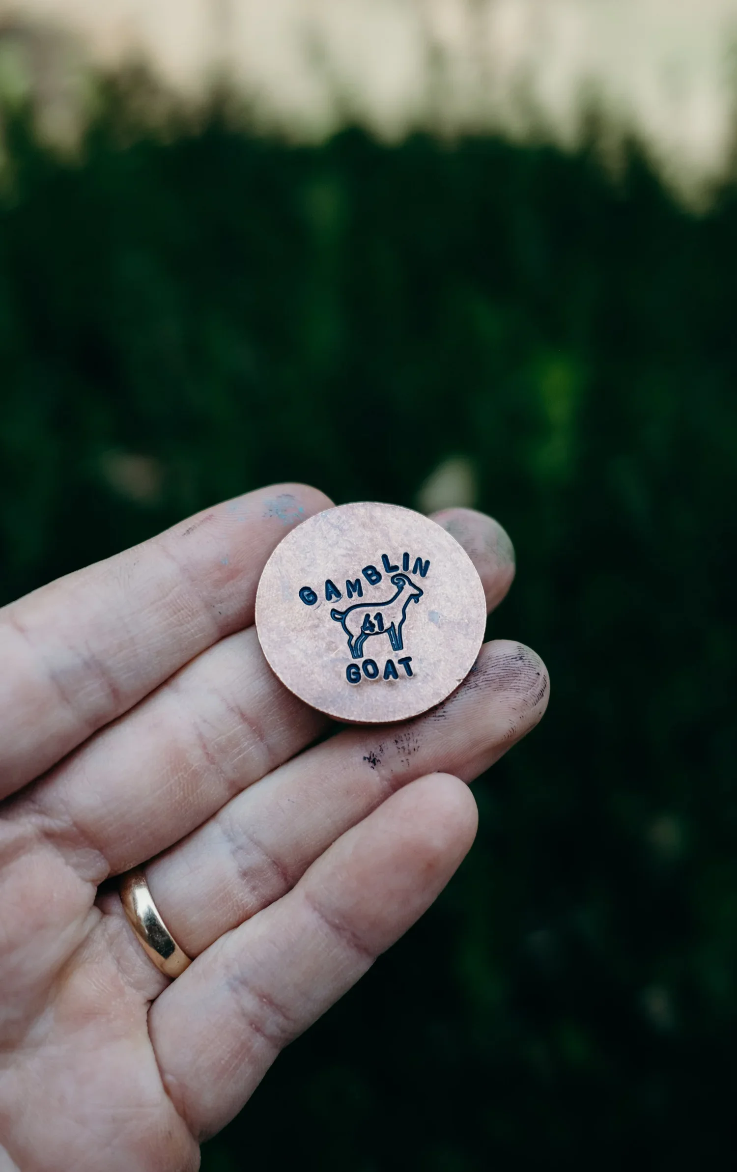 A hand holding a round badge with a goat illustration and the text "GAMBLIN GOAT" on a blurred green background.