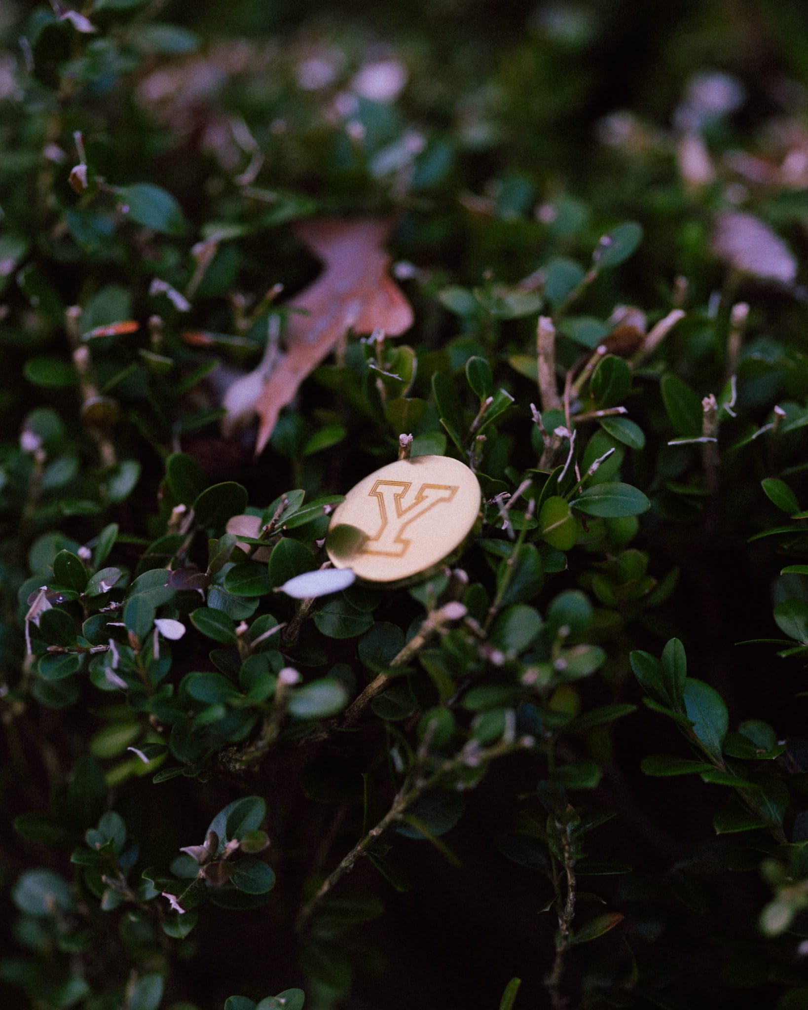 Custom Engraved golf ball marker for Yale