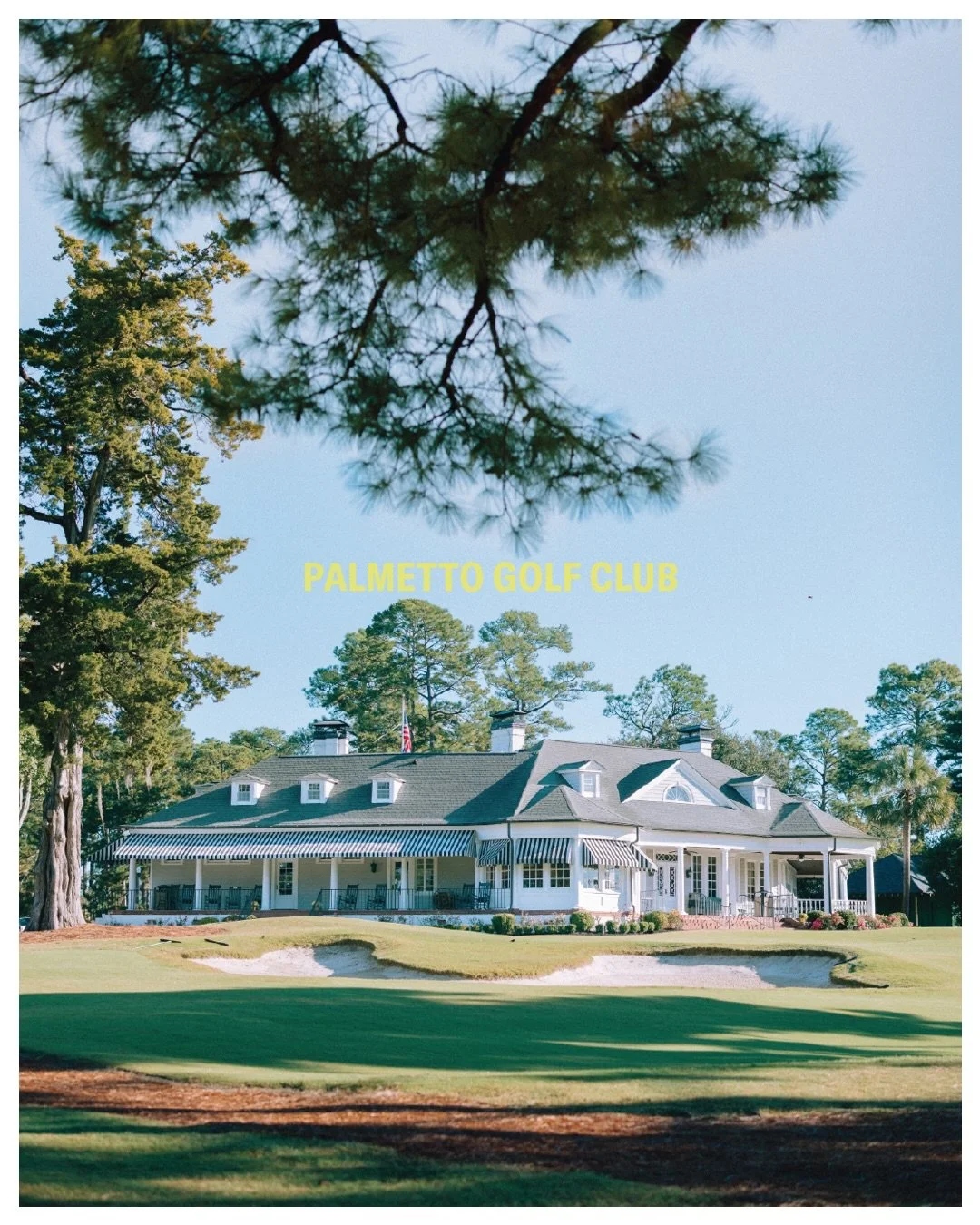 Palmetto Golf Club appreciation post 🤝