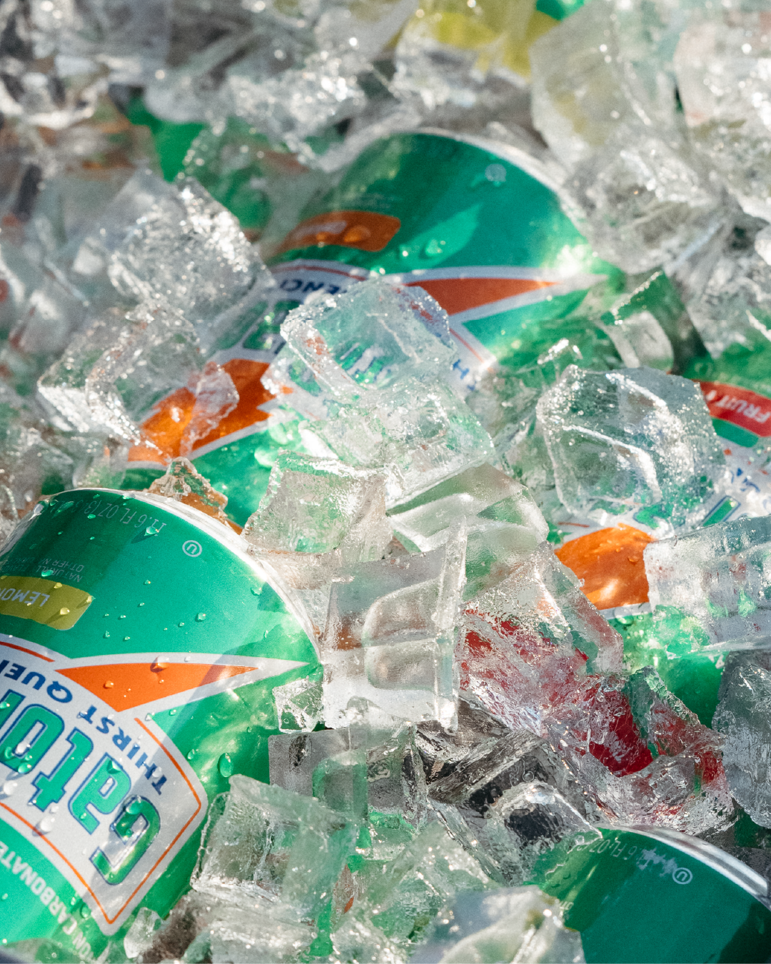 Artboard 1 copy 4.PNG