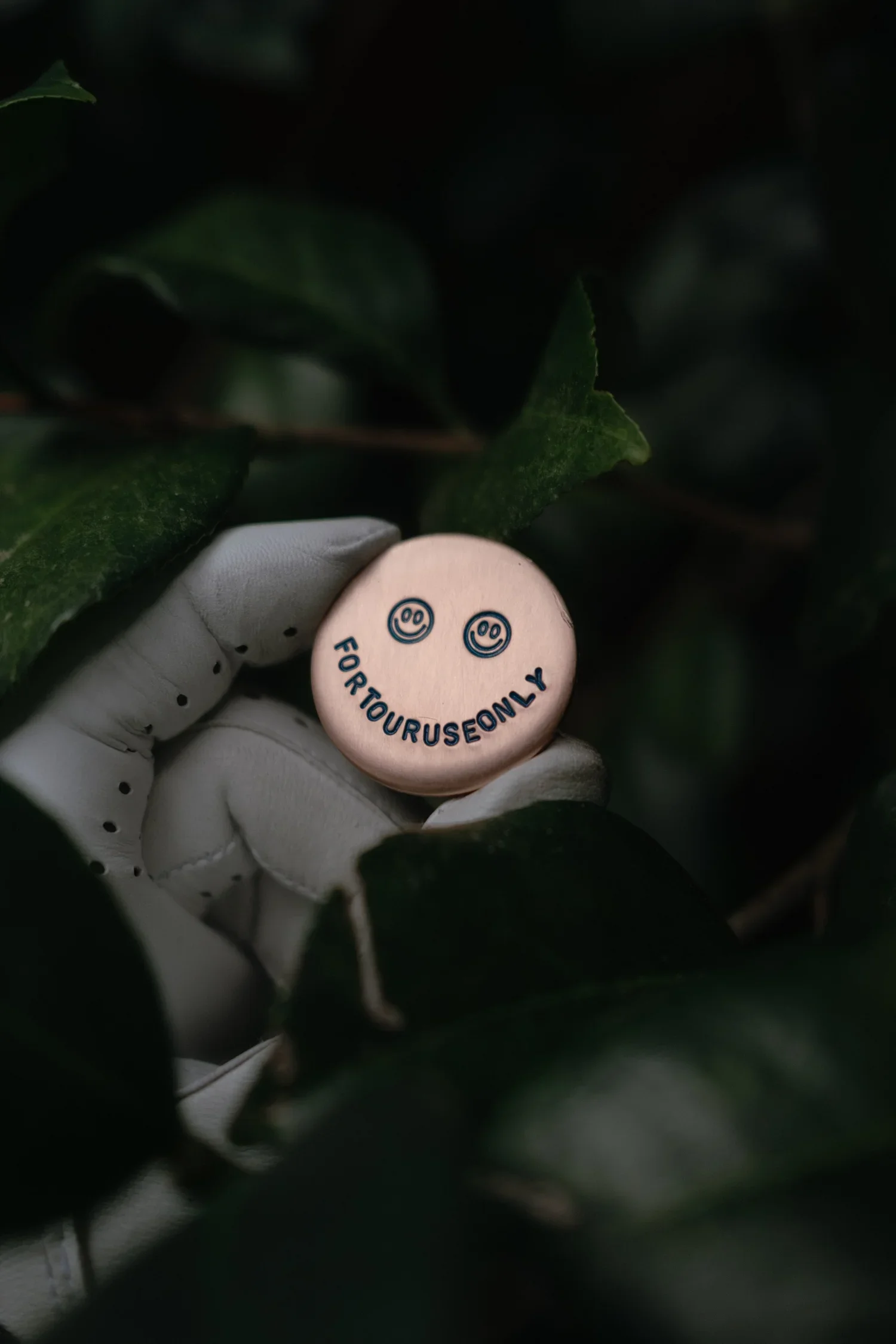 A hand wearing a white glove holding a pink button with smiley faces and the text 'FOR T0YOURUSEONLY', surrounded by green leaves.