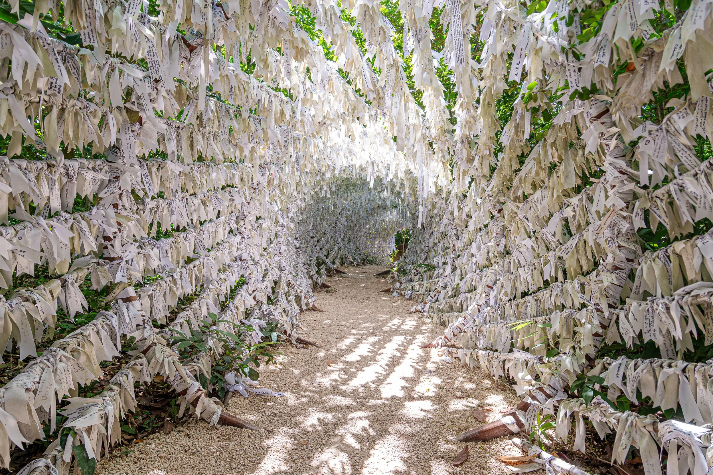 Sacred Sanctuary of Mary Untier of Knots in the Heart of the Cancun Jungle. Tunnel of white ribbons