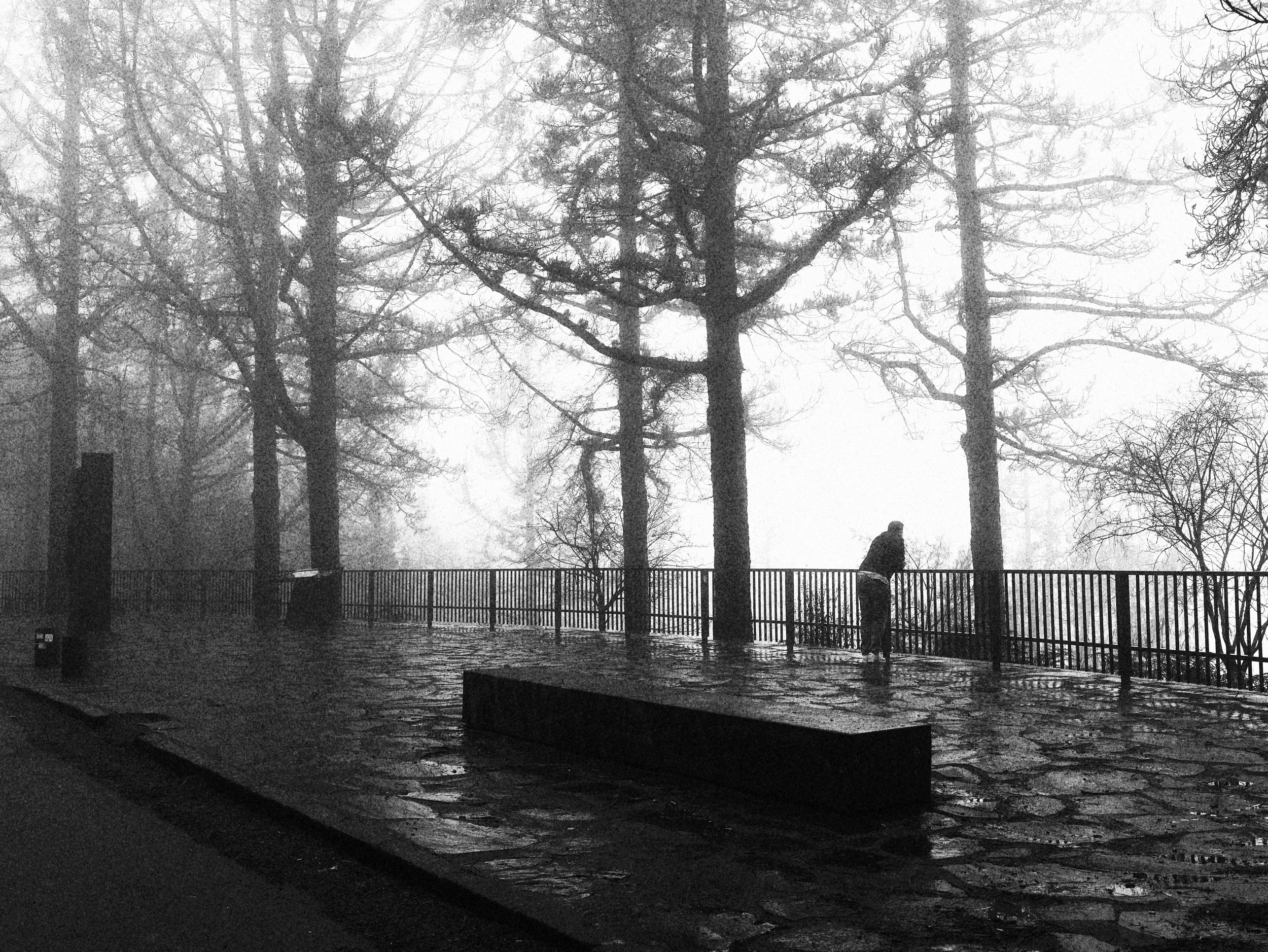 Persona con paraguas en un día lluvioso en un parque con árboles desnudos y una barandilla