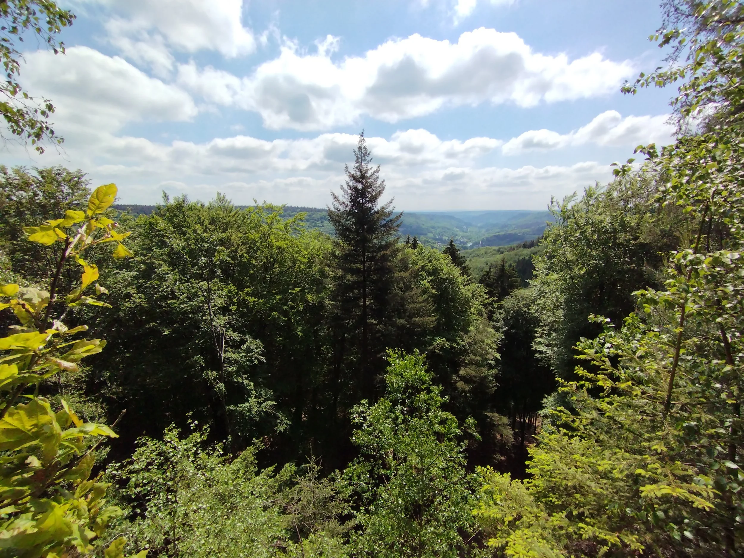 Naturcoaching, Your Nature Connection