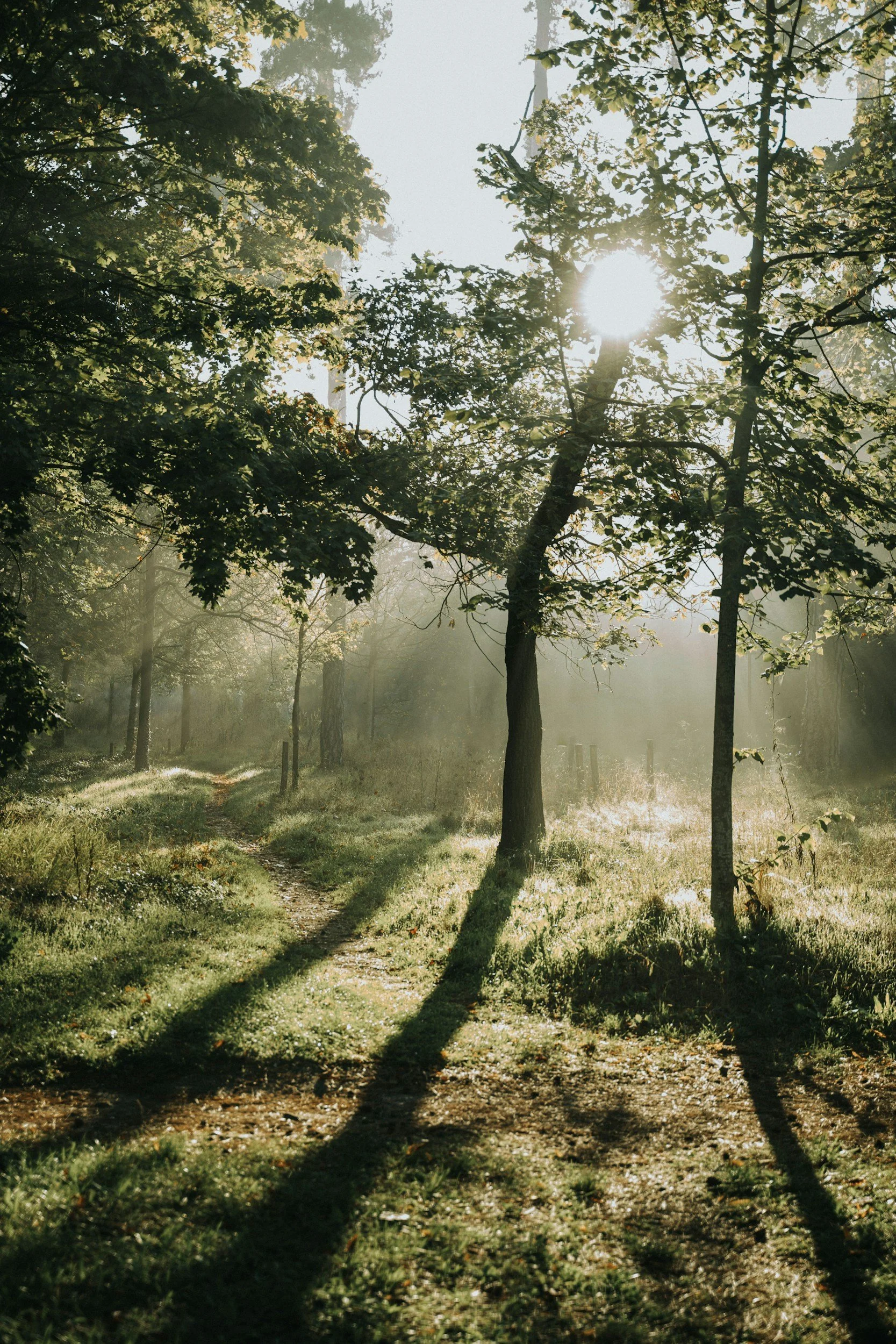 Morgensonne, Allgäuer Alpen, Stressbewältigung in der Natur