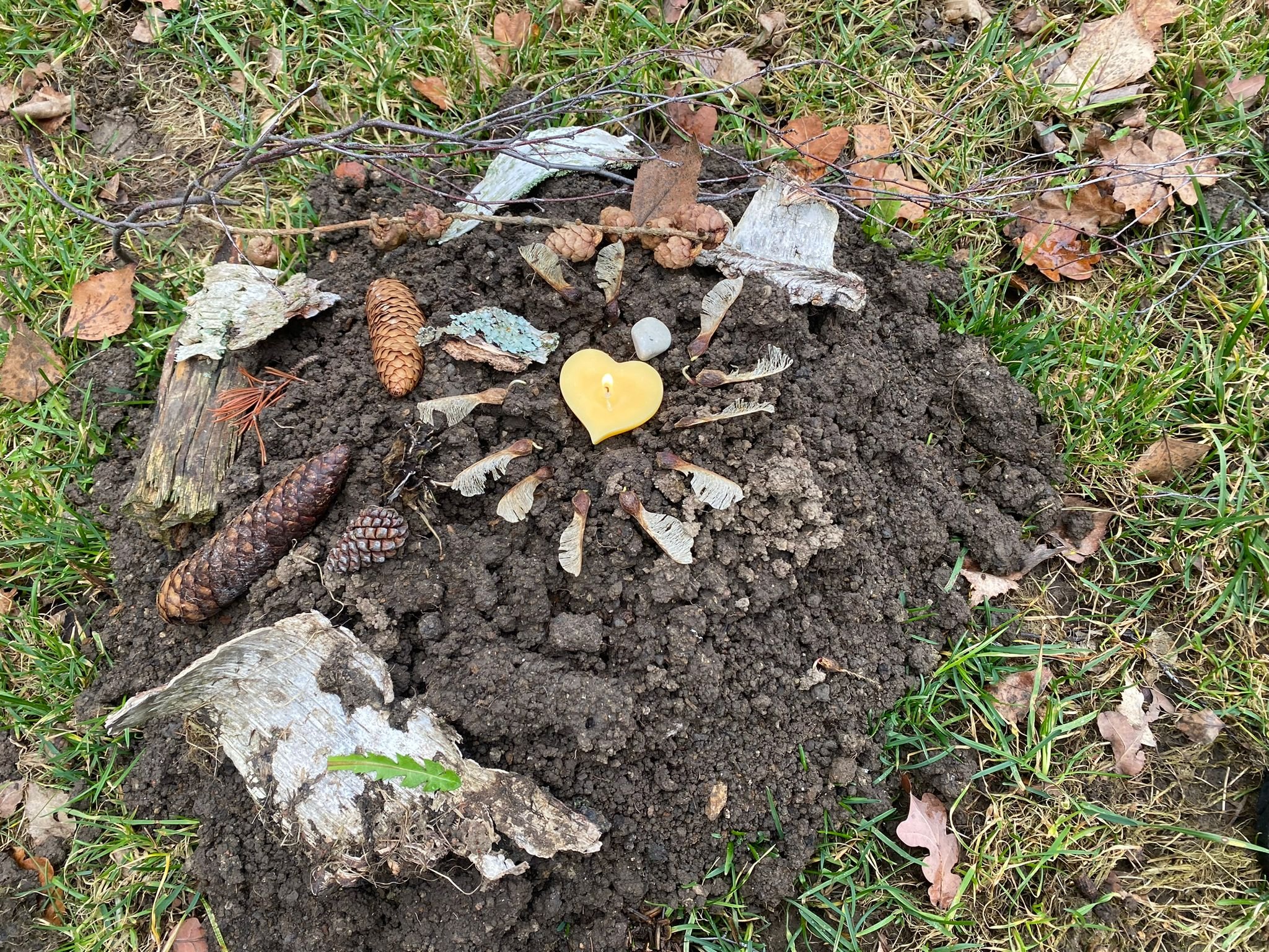 Landart, Naturcoaching