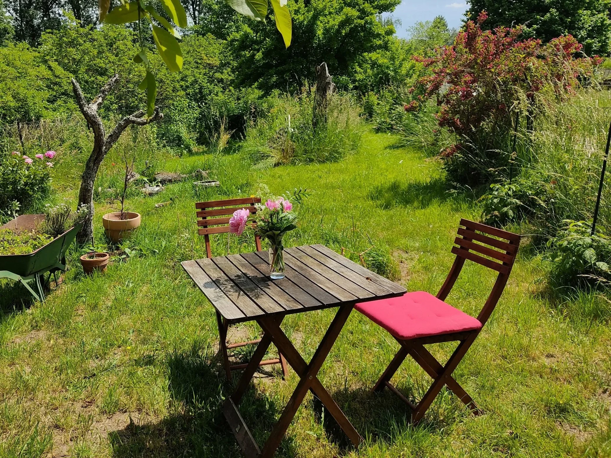 Luxemburg Naturcoach Chalet, Coaching und Stressmanagement in der Natur