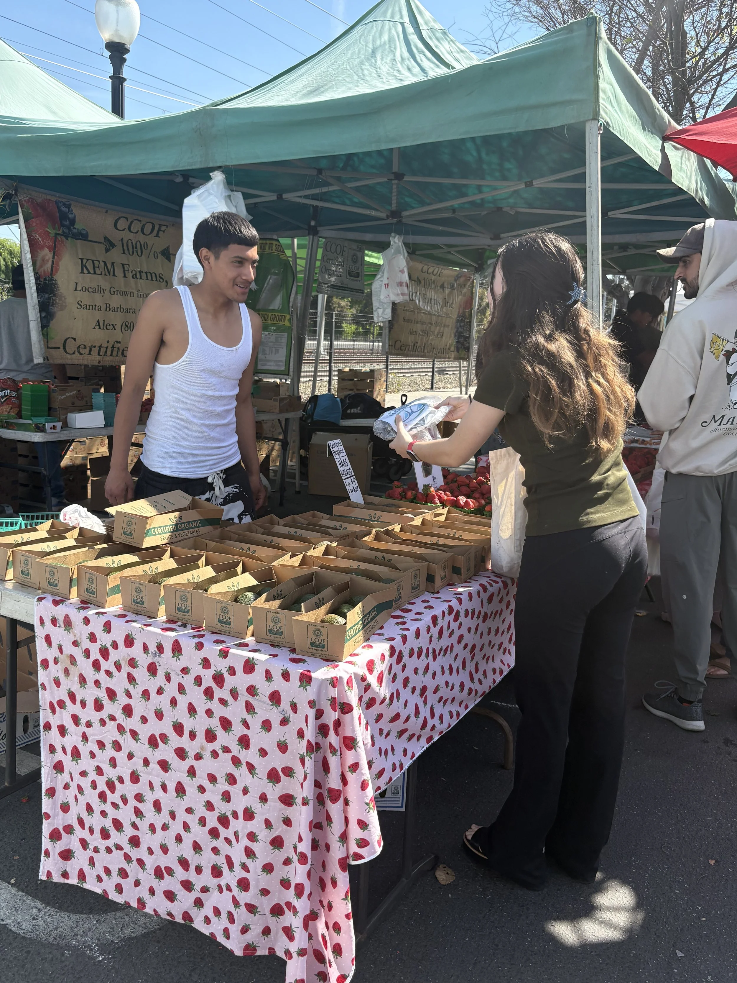 Woman giving UV-protection sunglasses to farm workers.