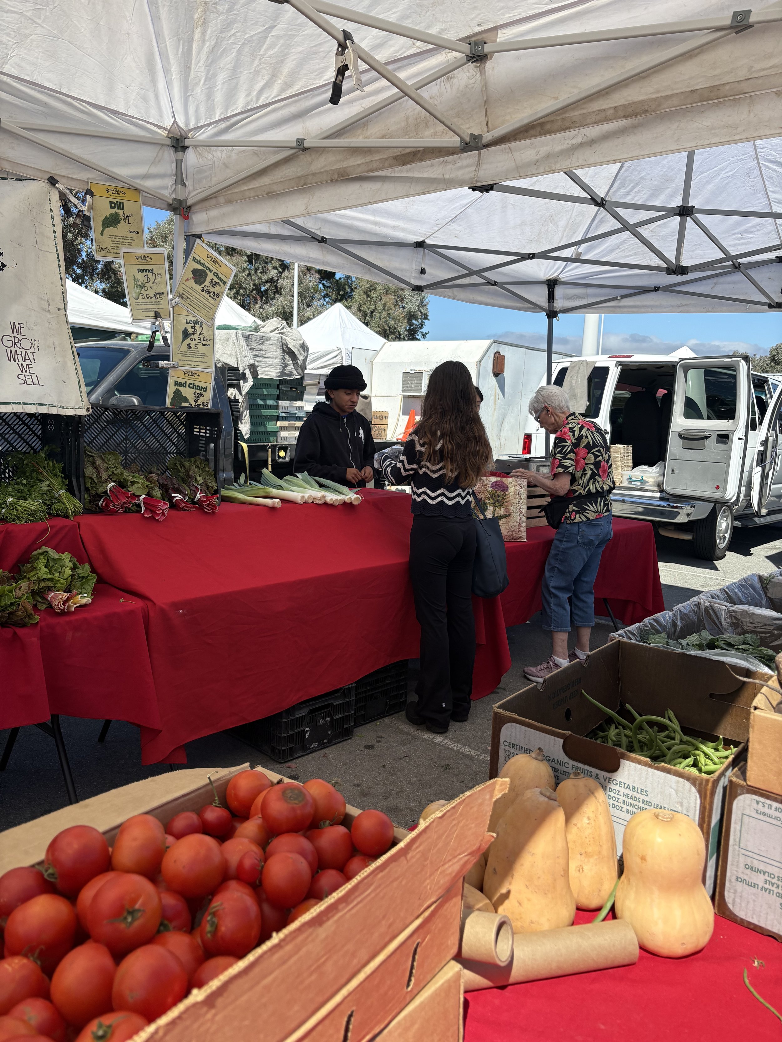 Fresh vegetables and produce at an outdoor farmers market stall. Tomatoes, butternut squash, and other vegetables are displayed on red tablecloths. Customers are shopping and chatting under a white canopy.
