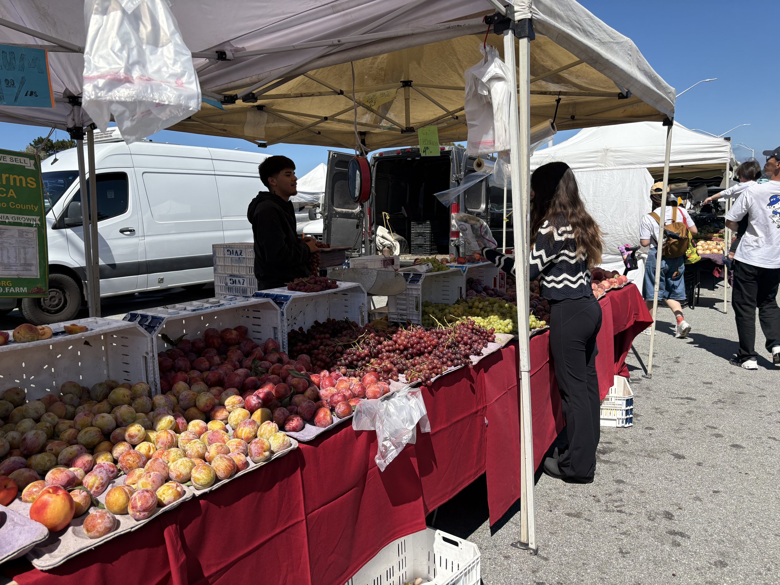 A farmer's market stall with apples and grapes on display, vendors selling fruit, and customers browsing under a white canopy on a sunny day.