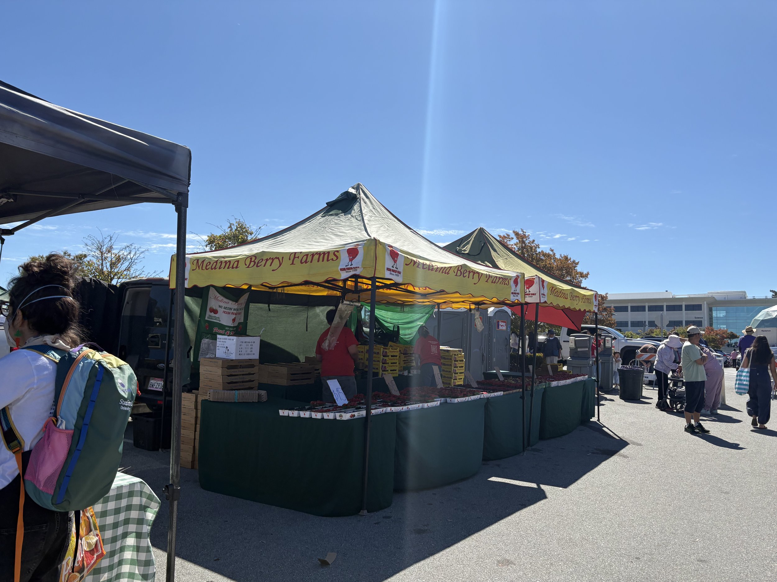 Market stall with a yellow sign for Medina Berry Farms selling strawberries, with a blue sky and people shopping around.