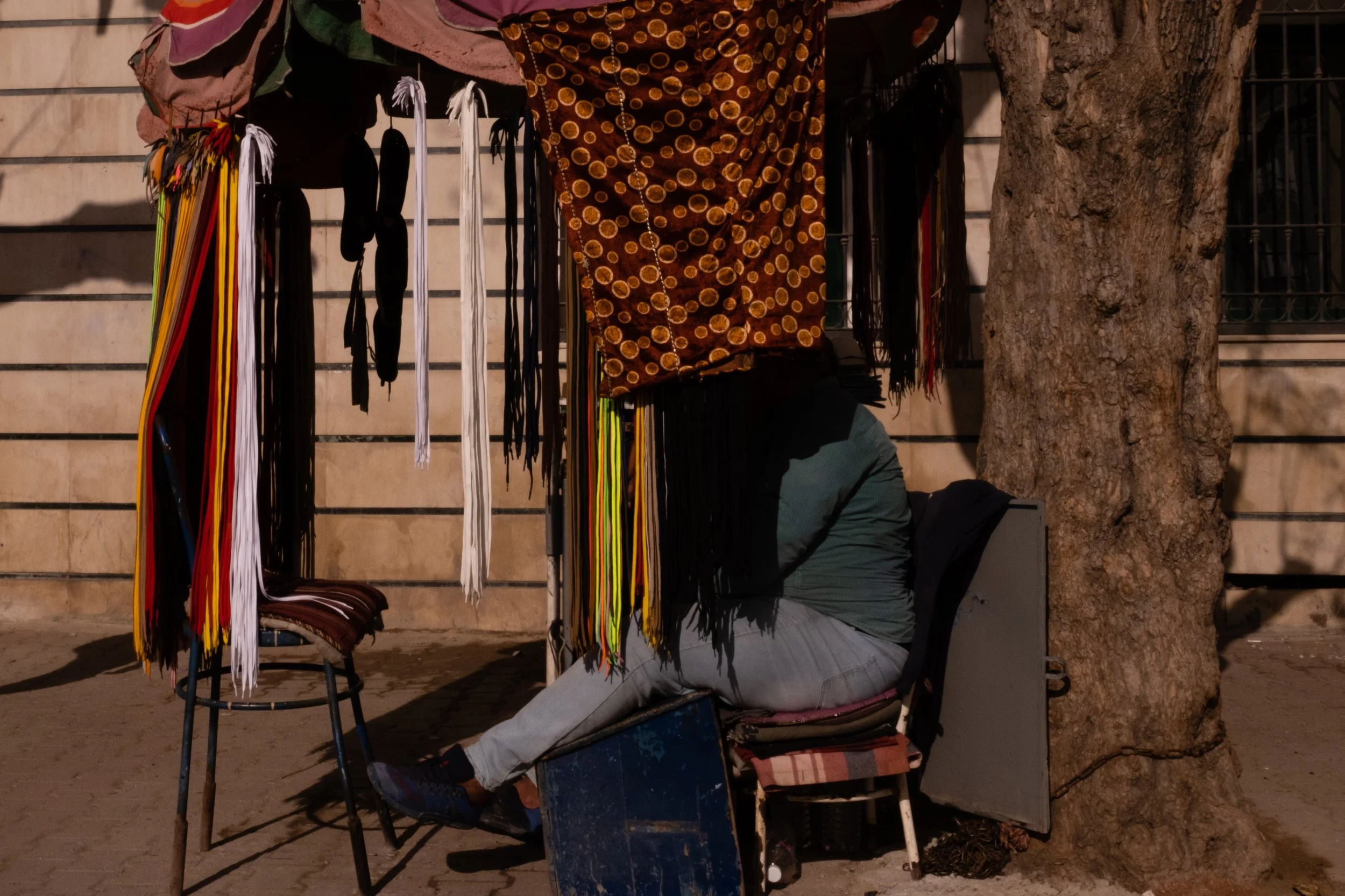 _DSF8459.jpg