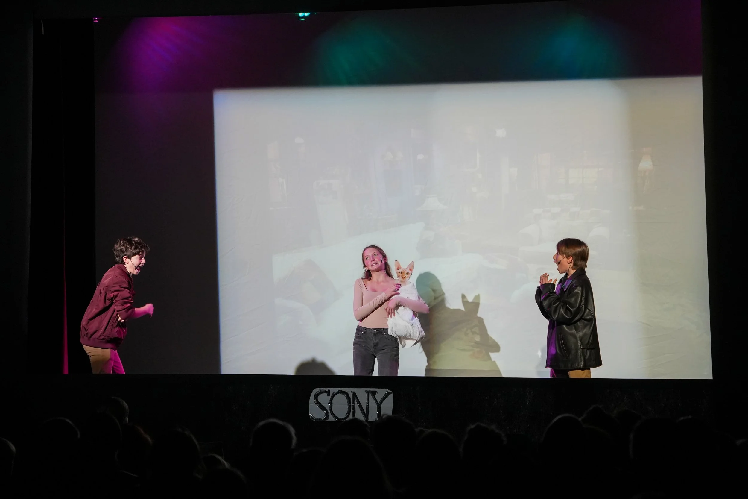 CC Hairless Cat 4.jpg