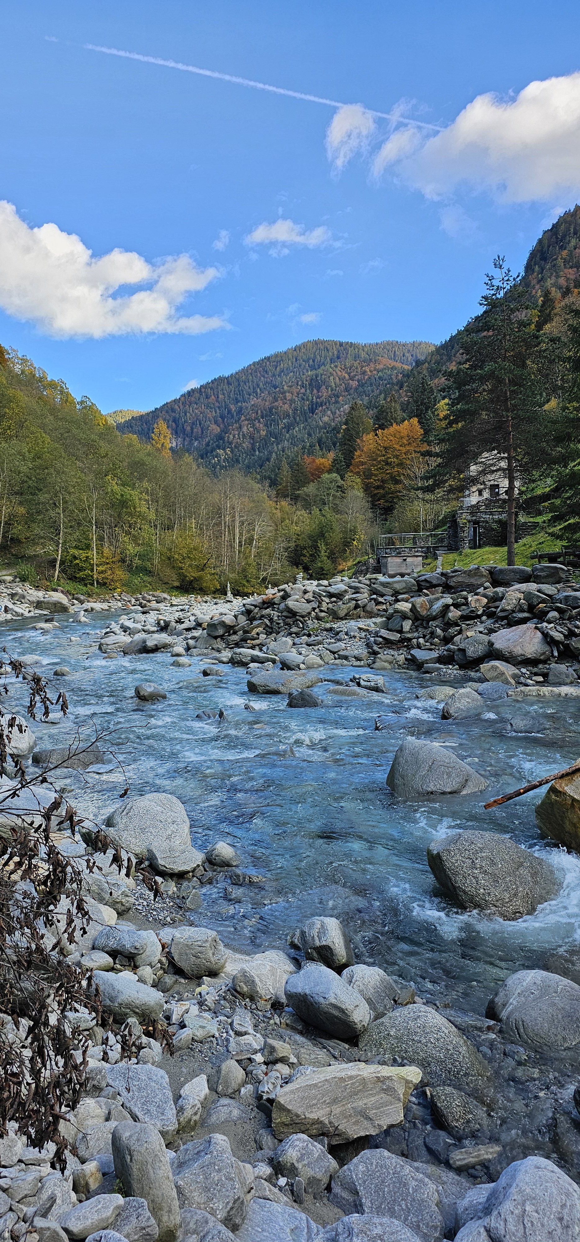 20261024_154604 Nati.jpg
