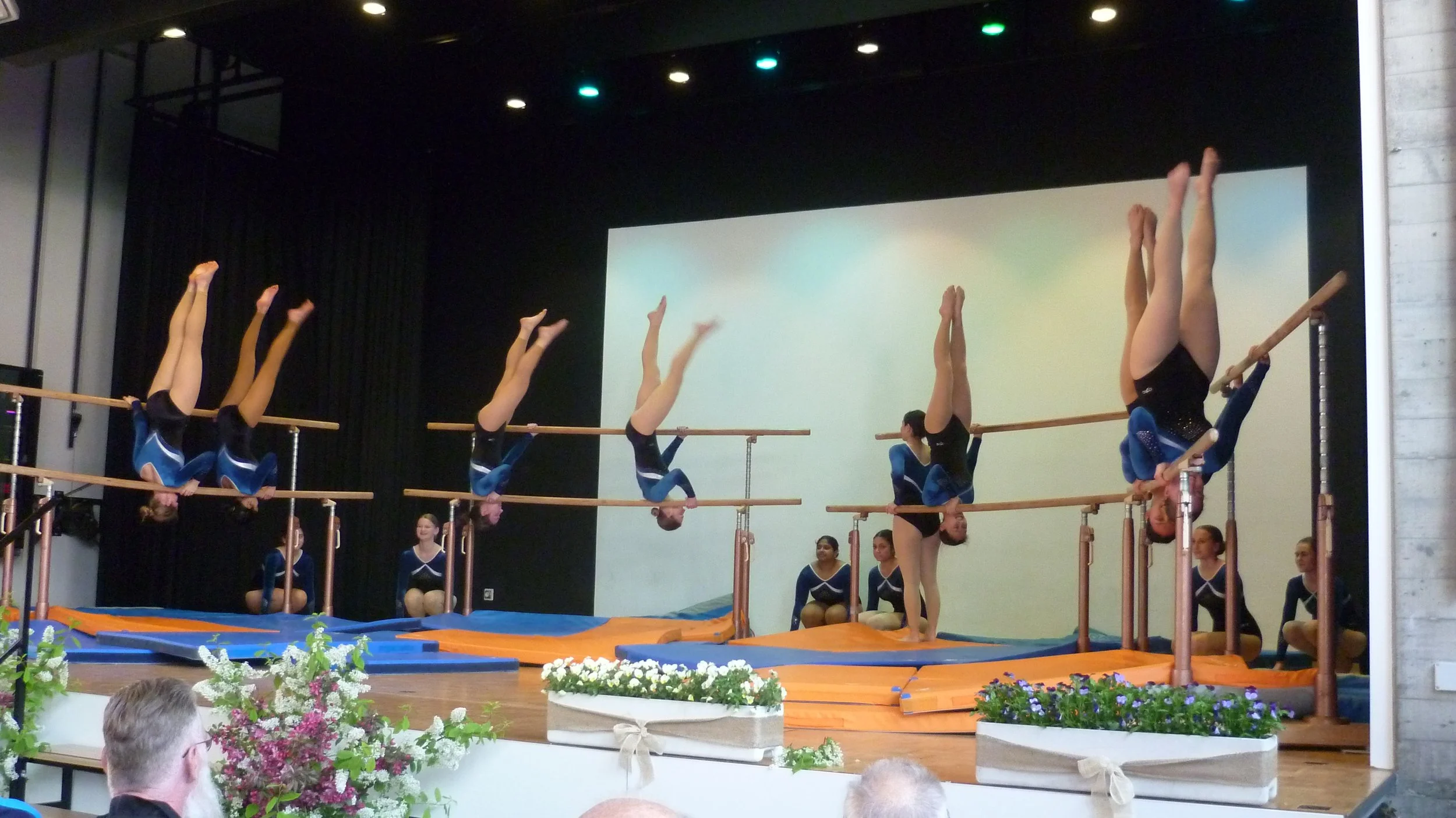 P1060517.JPG