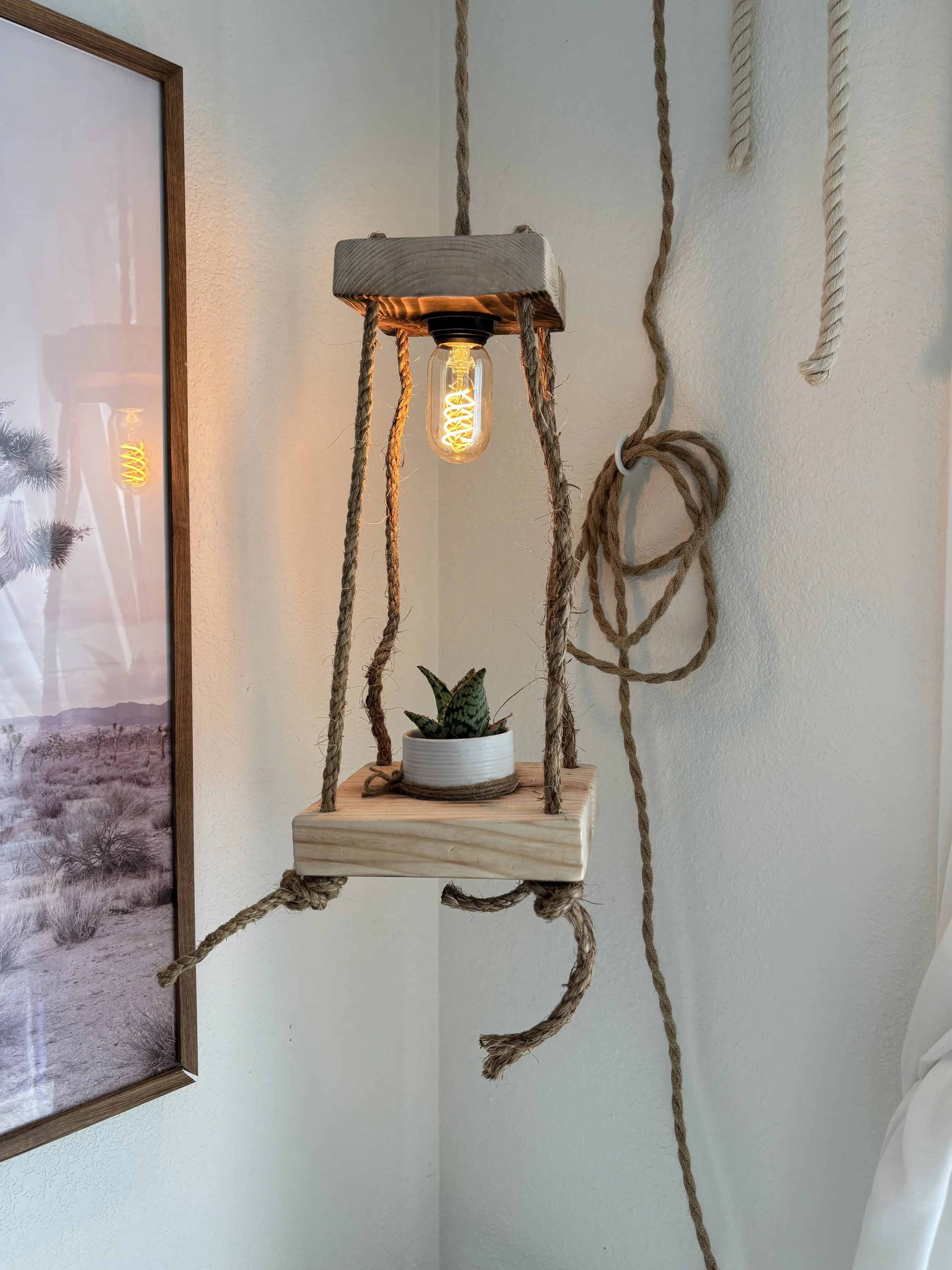 Hanging Planter Lamp