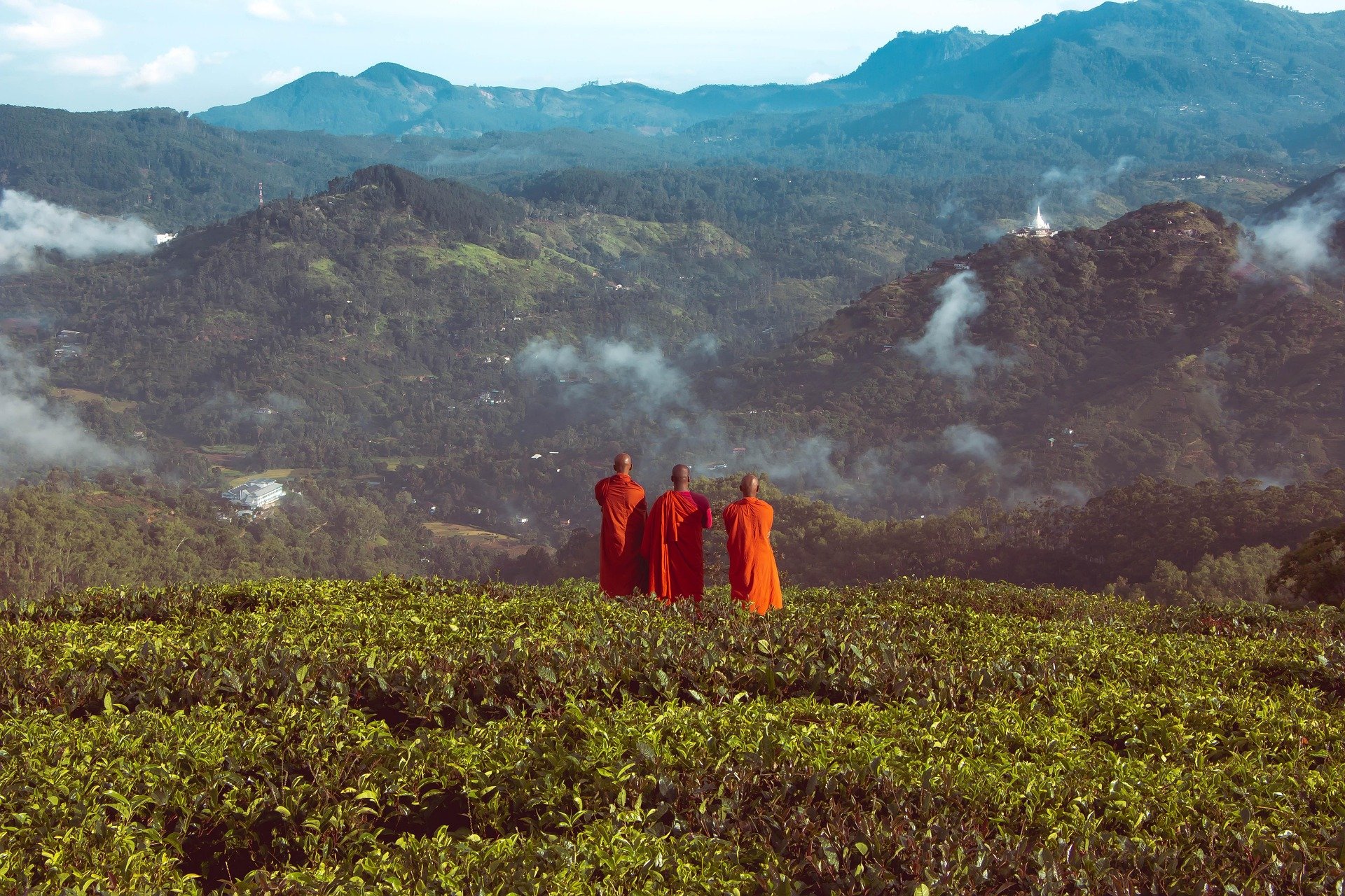 Three Buddhist monks dressed in orange robes standing on a lush green hillside overlooking a mountainous landscape with smoke and mist in the distance.