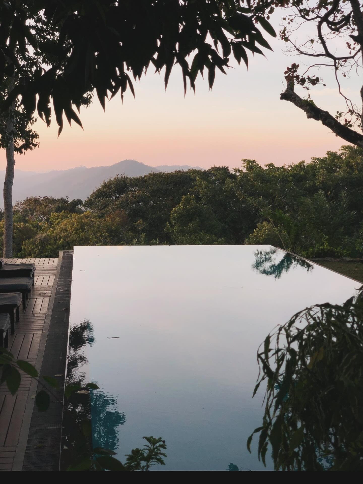 Postcard moments in paradise 🇱🇰☀️
#langariantravel #srilankavibes #tropicalescape #poolsidedreams #palmparadise #traveldiaries #wanderlust #paradisefound #srilanka