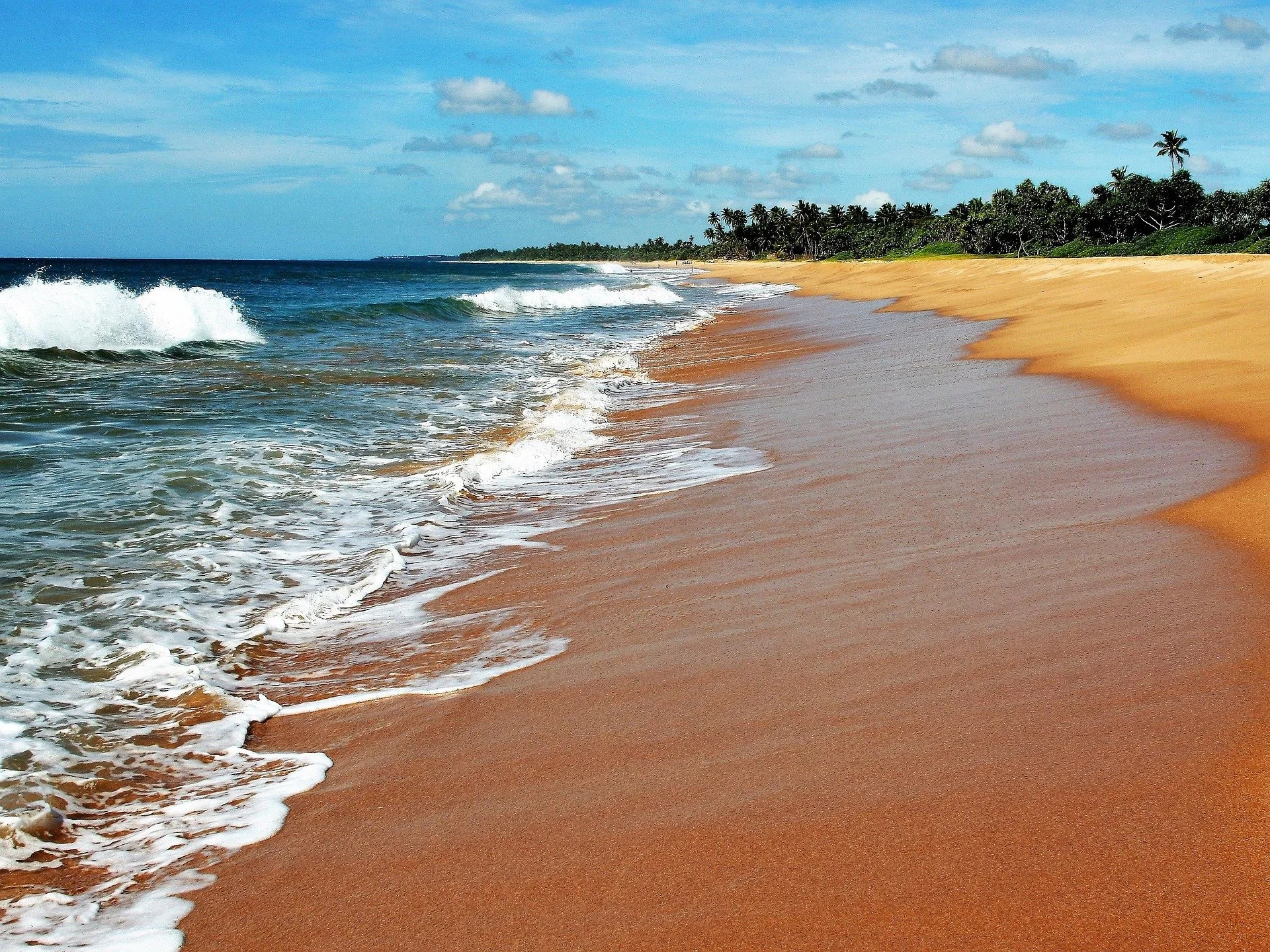 Sri Lankan Sunlit sandy beach with waves coming ashore, a clear blue sky with some clouds, and a line of palm trees in the distance.