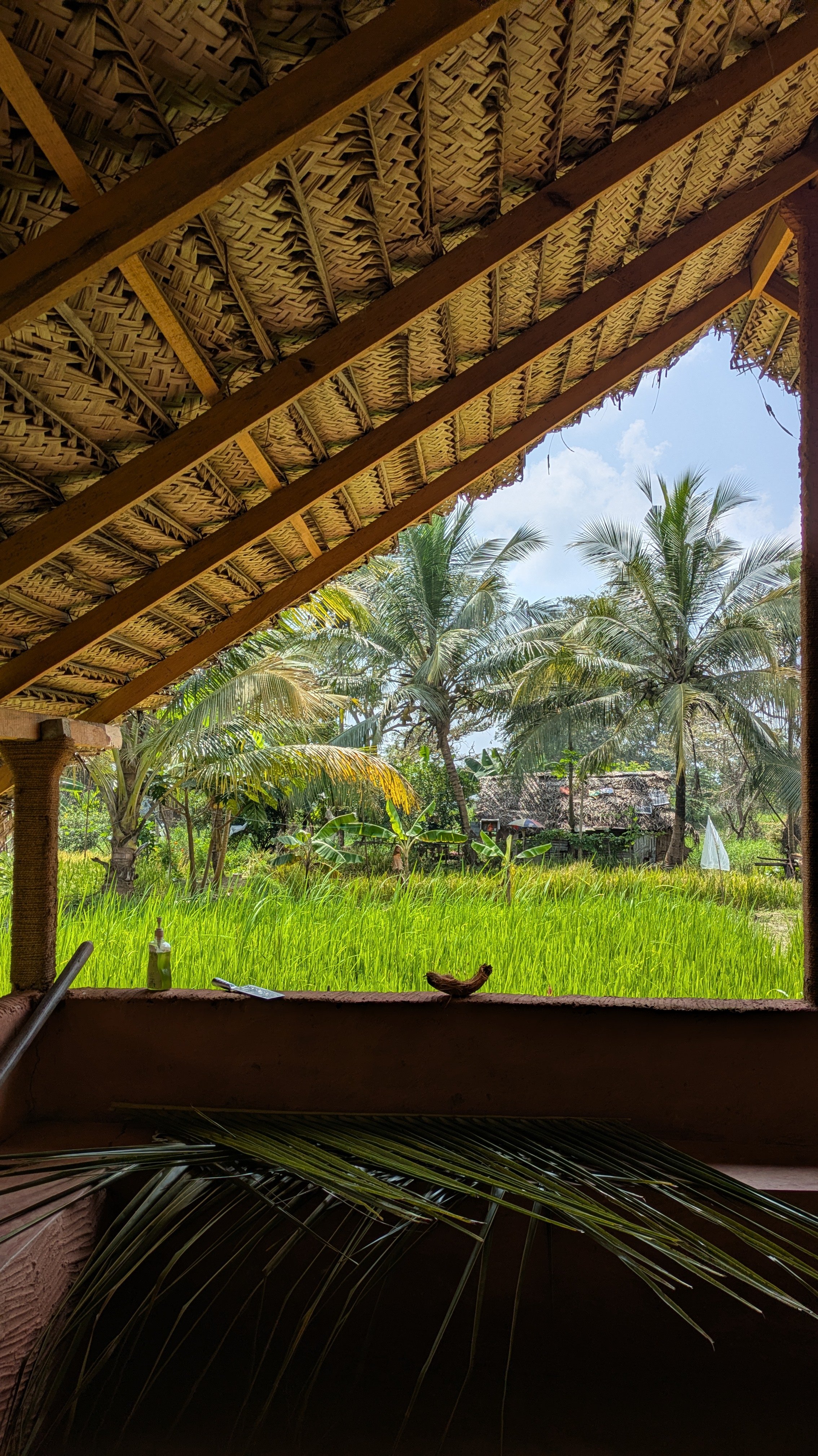View of tropical landscape with palm trees and lush green fields, seen from under a bamboo and thatched roof structure.