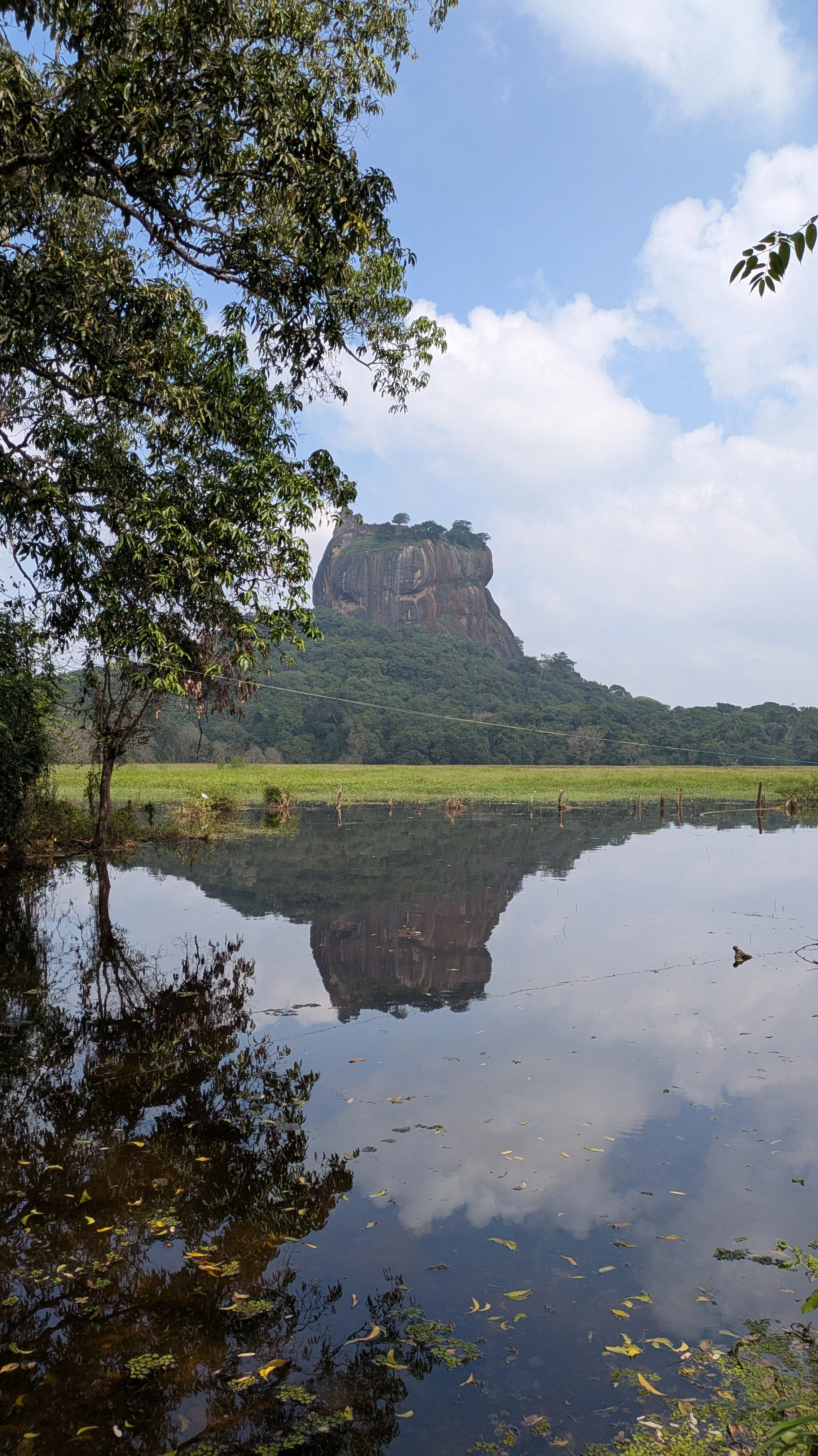A large steep rock formation with trees on top, reflected in a pond surrounded by greenery and trees, with a cloudy blue sky.