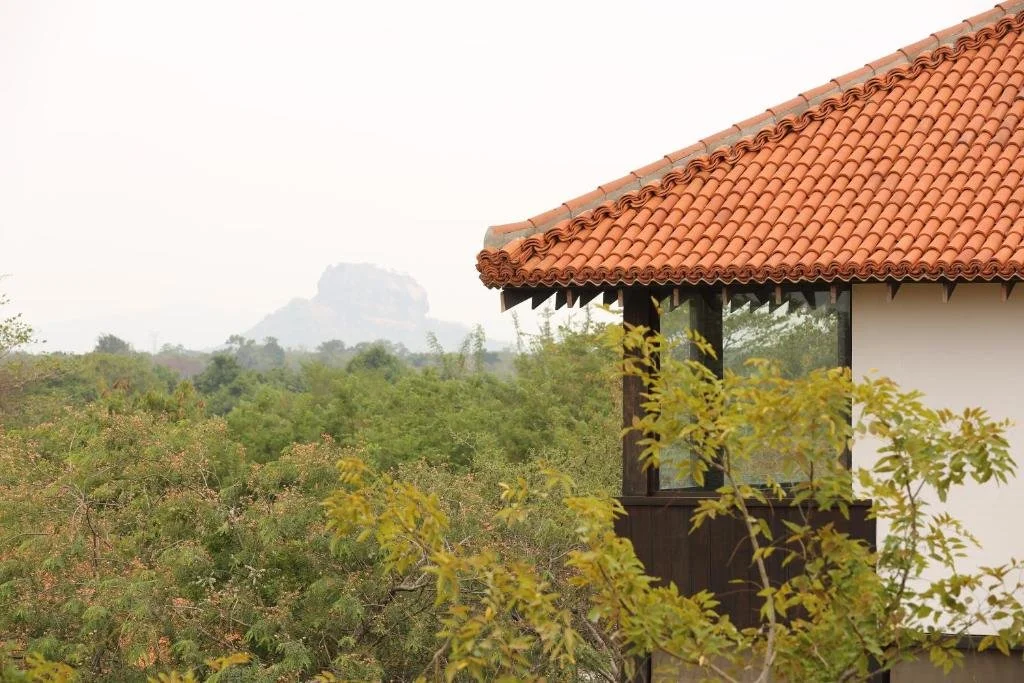 Part of a house with a red tile roof and a window, surrounded by trees and greenery, with a mountain in the background.