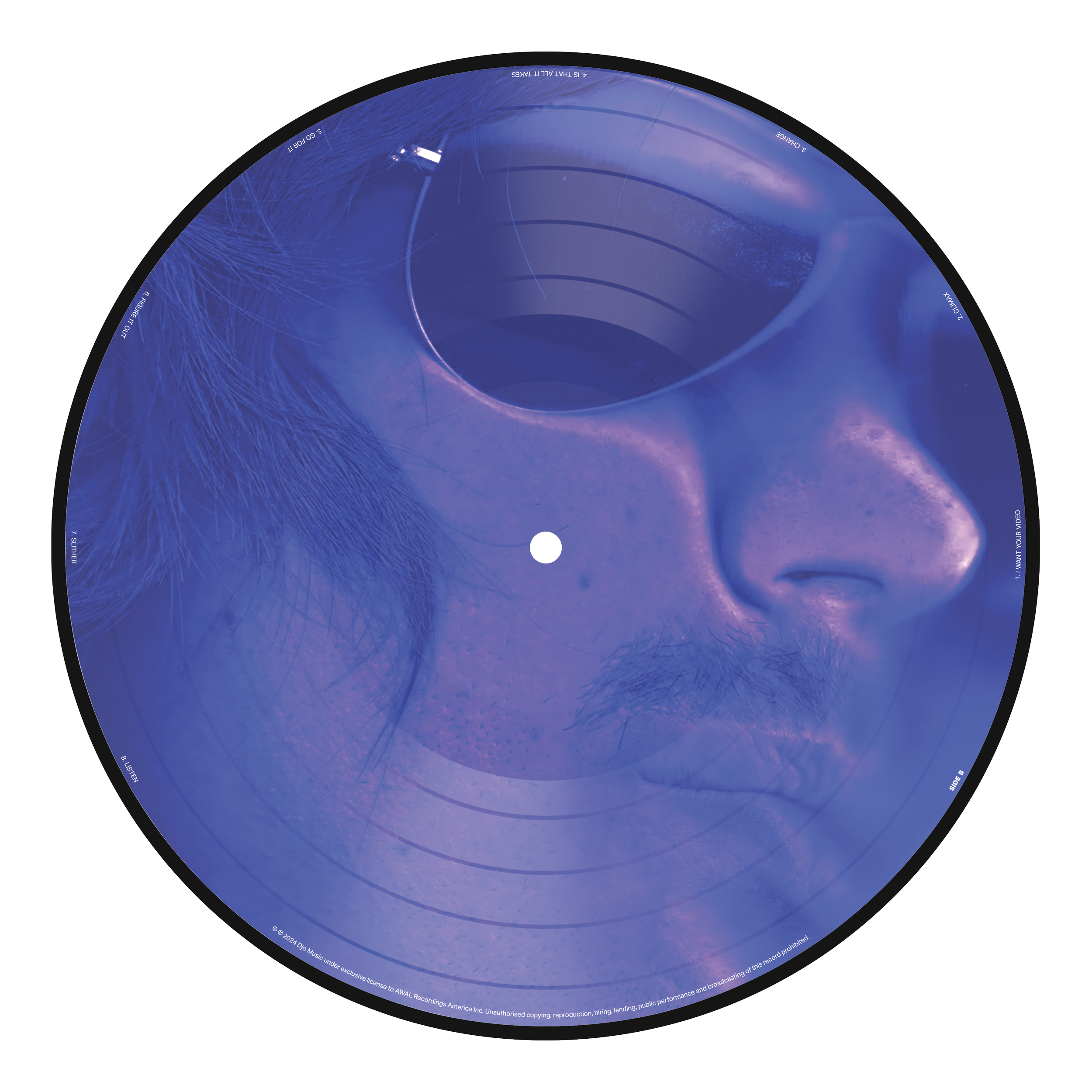 12inch Picture Disc example b 2.png