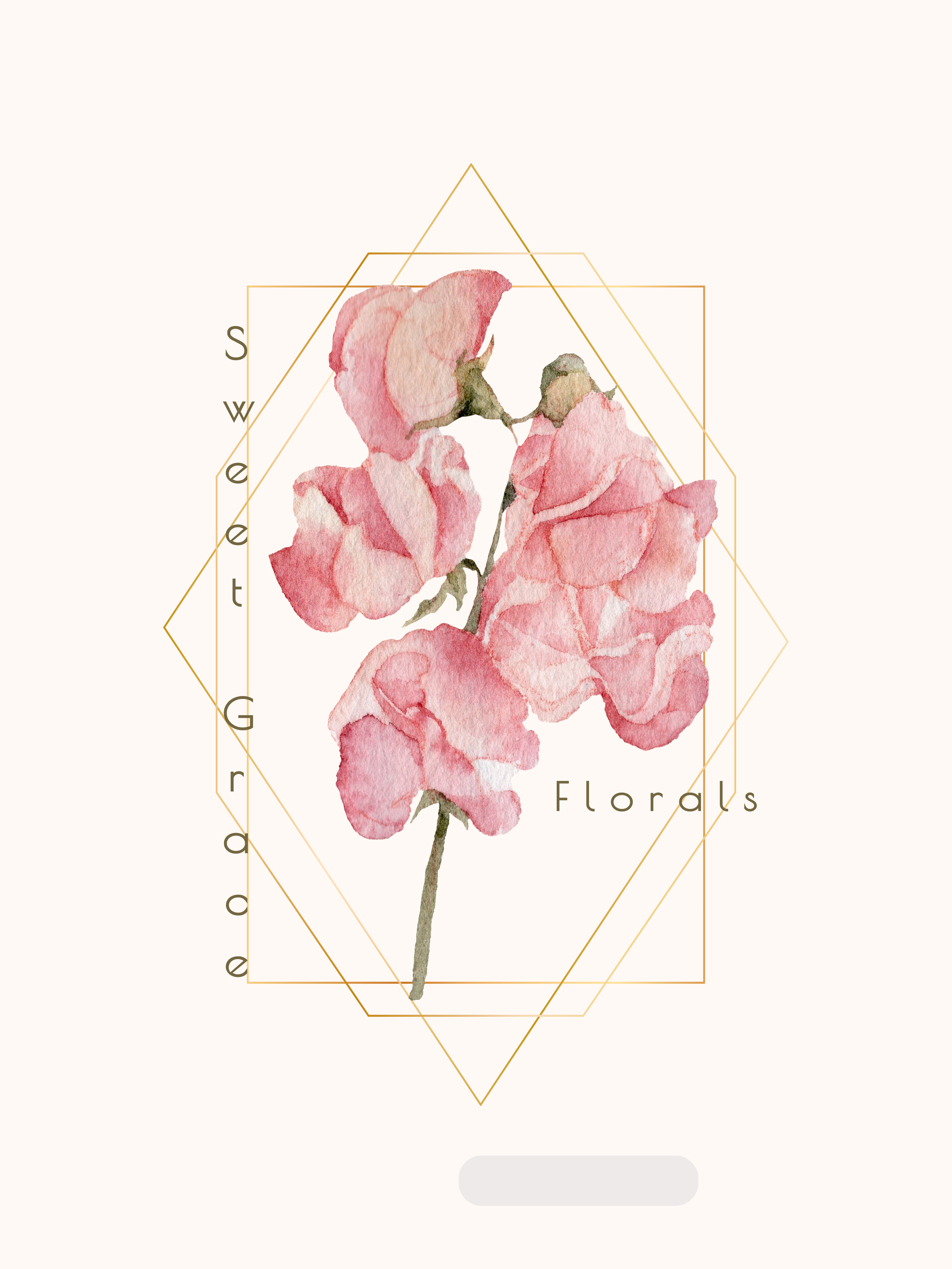 Watercolor illustration of a pink sweet pea flower with geometric gold lines and the text 'Sweet Grace Flowers' on a light background.