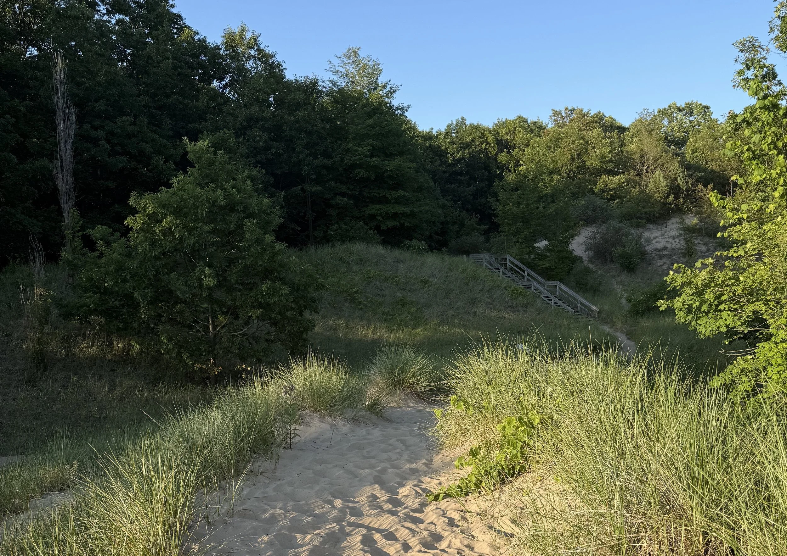 A sandy path leading into a lush, green forested area with stairs visible on a hill in the background.