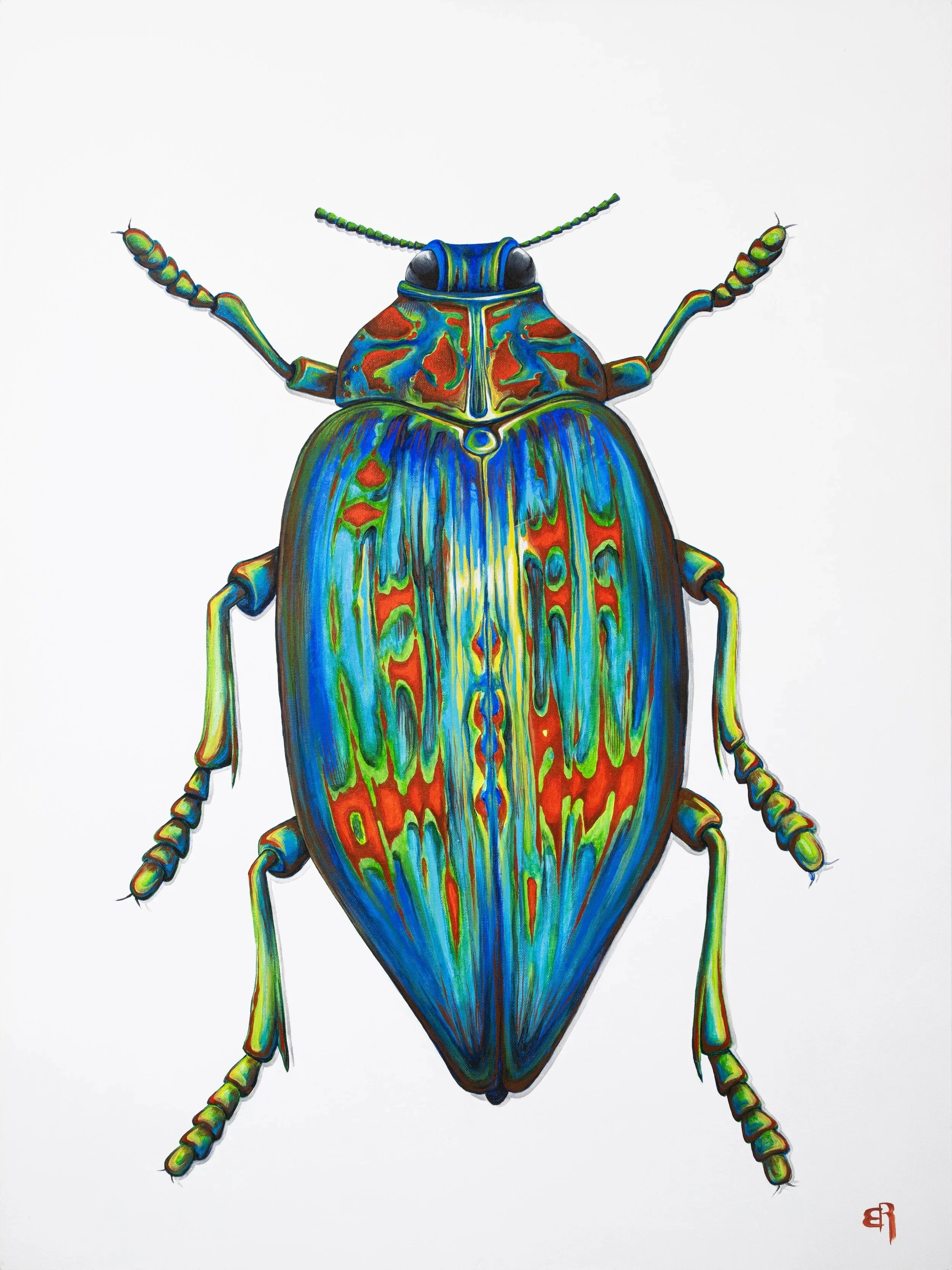 Sumptuosa