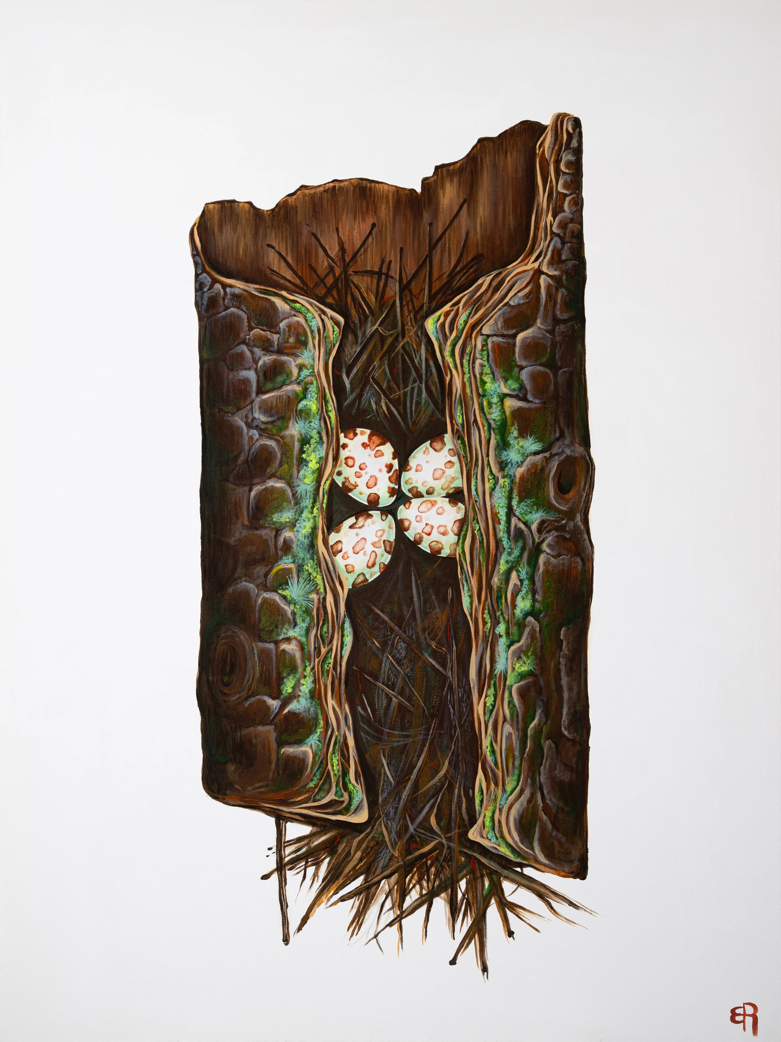 12x16" Treecreeper Nest Print