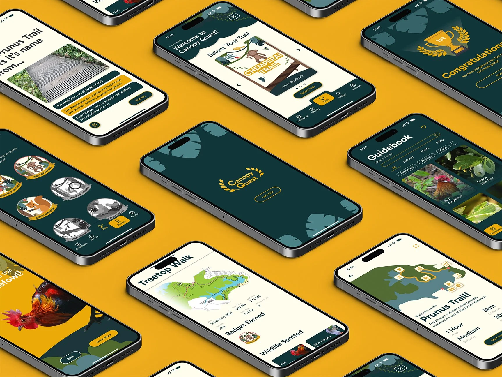 Canopy Quest Mobile App