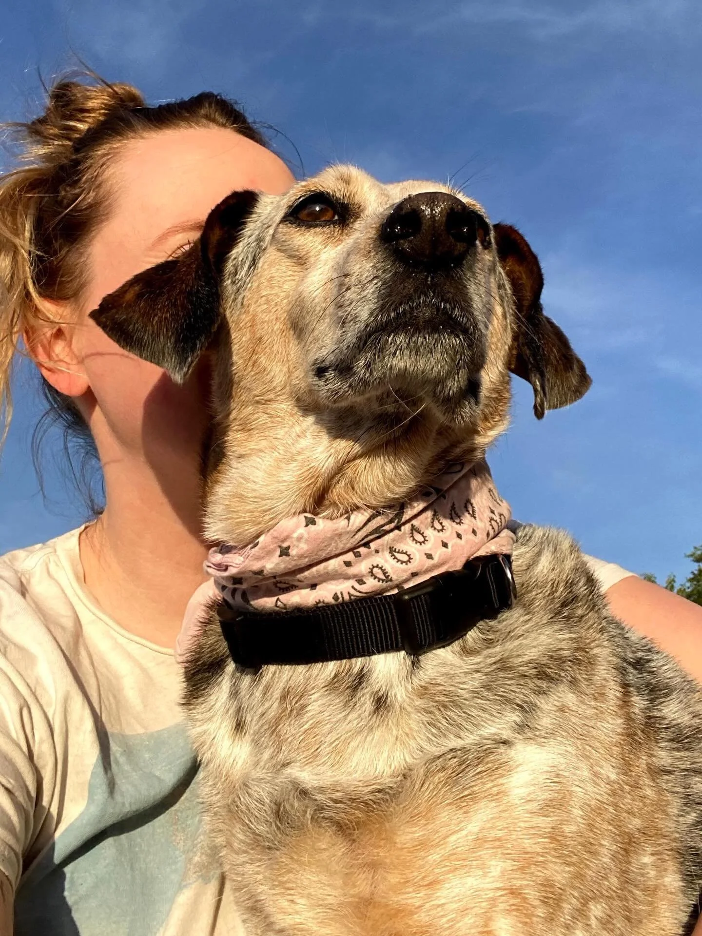 six months without Lupine. 

i wanna say something about her death but i still can&rsquo;t quite pull it together without getting flooded. 

so for now i&rsquo;ll just say i can&rsquo;t believe i got to love somebody this much. a gift beyond wordsmea