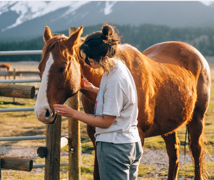 Equine-Assisted Wellness Session
