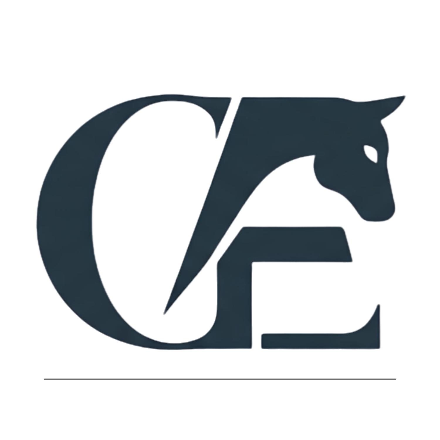 Clarity Equine