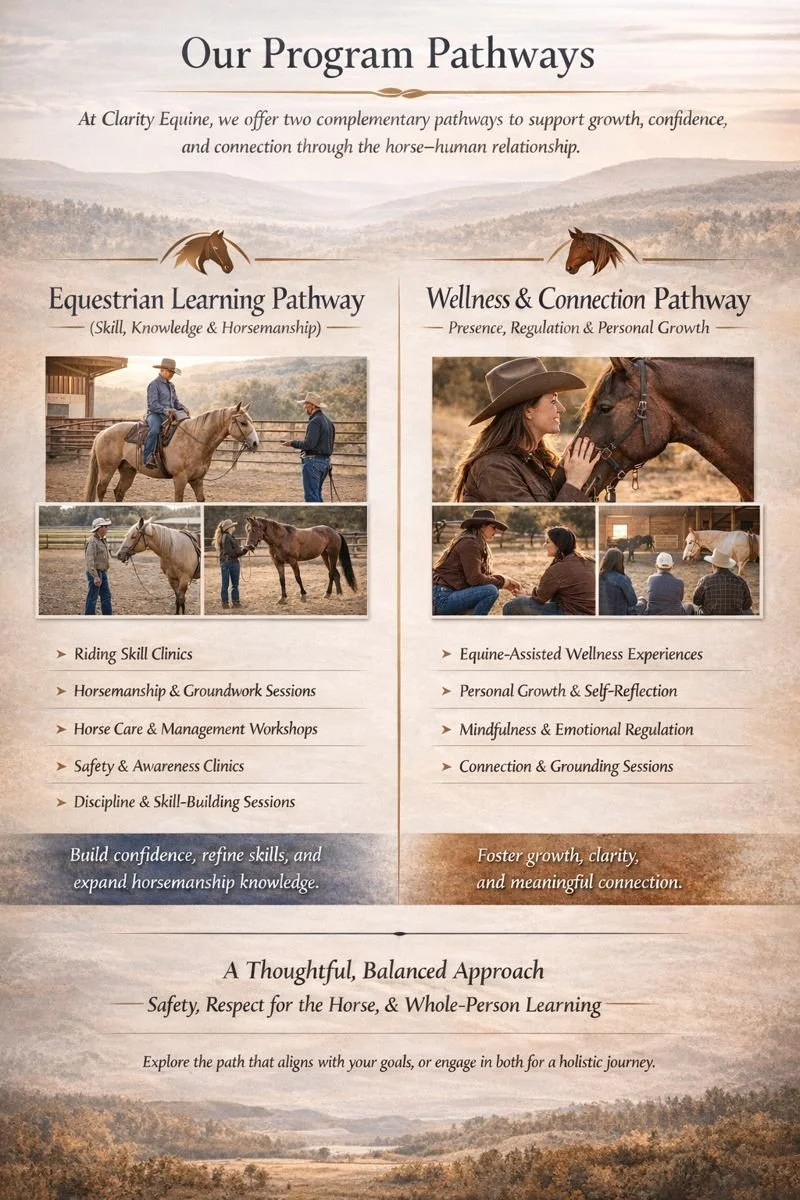 Poster titled "Our Program Pathways" with information about equestrian training. It features two columns: on the left, "Equestrian Learning Pathway" with images of people working with horses, and on the right, "Wellness & Connection Pathway" with images of people interacting with horses and sitting in discussion. Both columns list various activities related to horse training and personal growth. The background shows a scenic landscape with hills and sky.