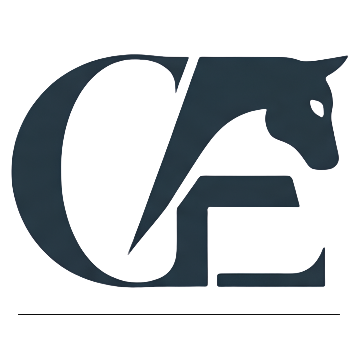 Clarity Equine