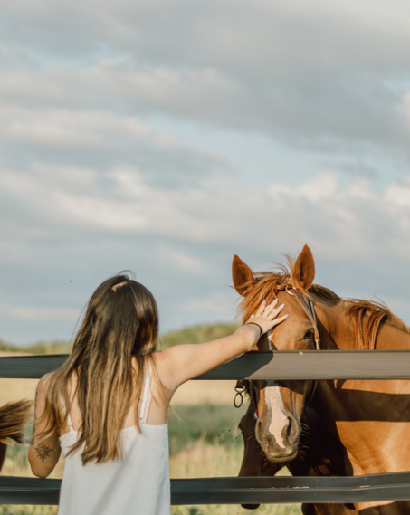Boundaries & Regulation With Horses