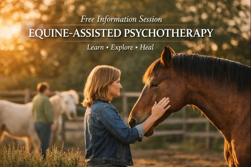 Free Information Session