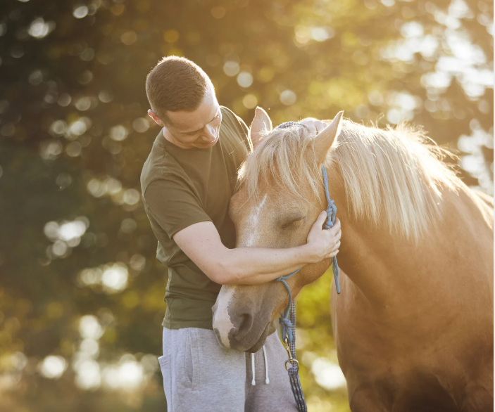 Mindfulness With Horses