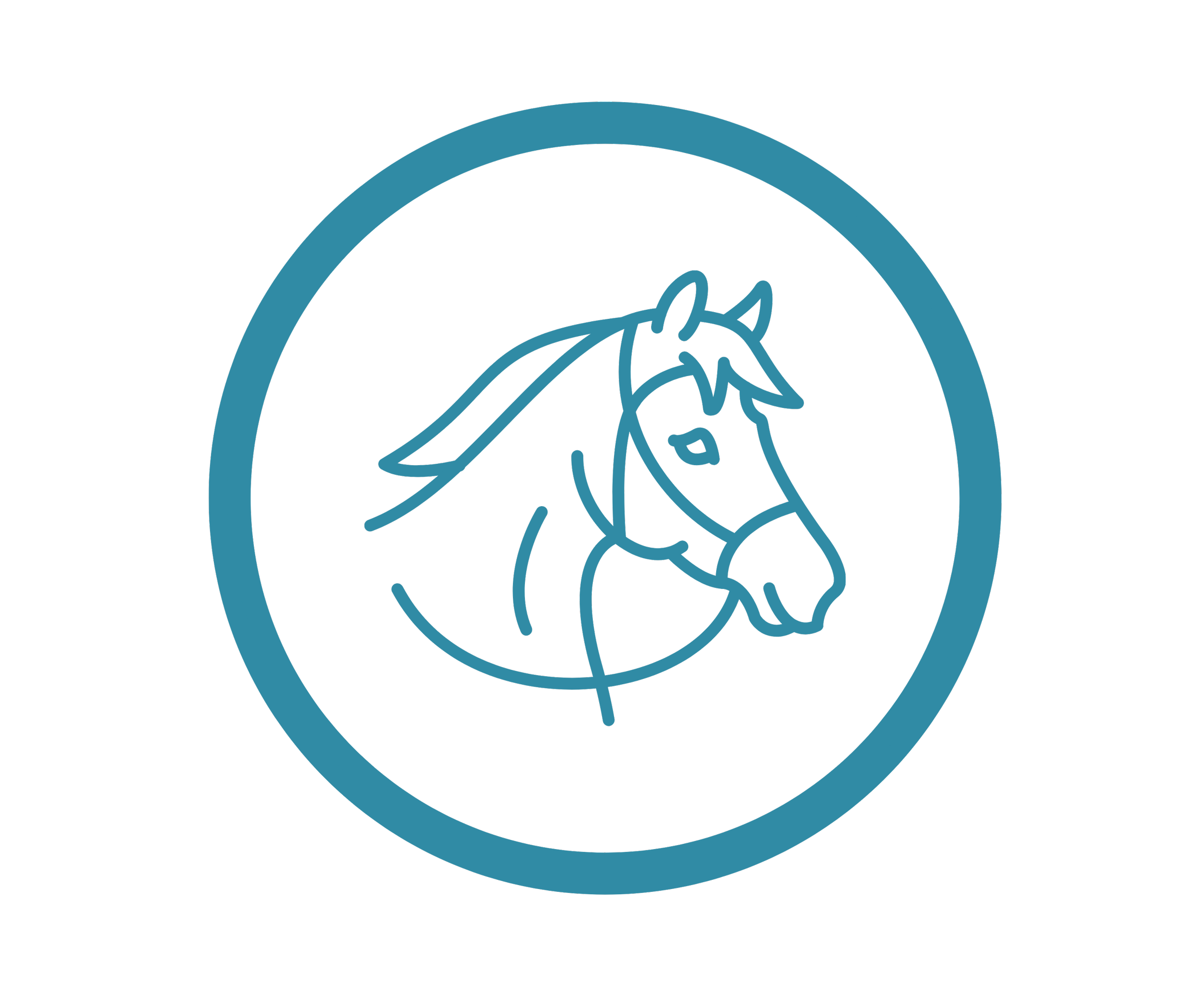 Equestrian Canada Rider Level Evaluations — Clarity Equine