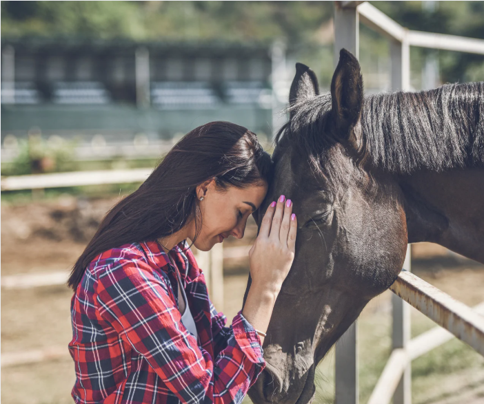 Clarity Equine Planning Session - One-Time, In-Person Session