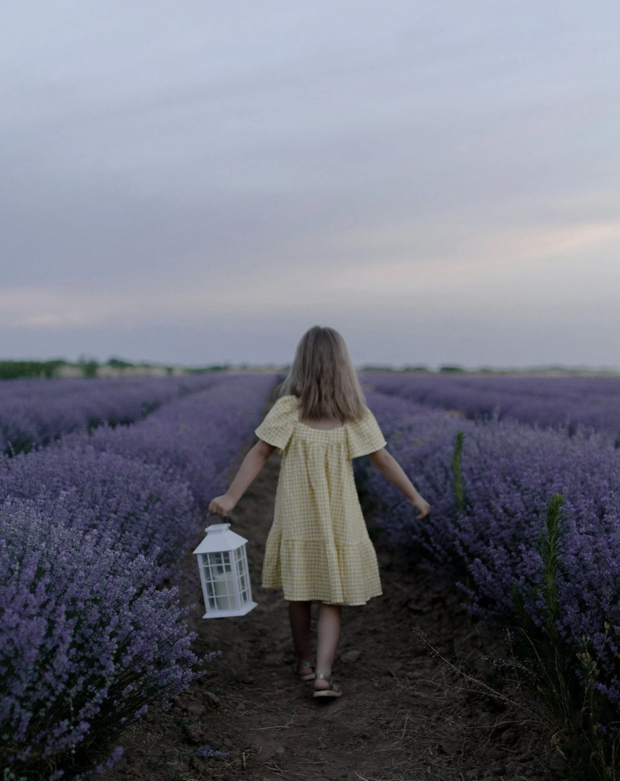 A young girl in a yellow checkered dress walking through a lavender field while holding a white lantern.