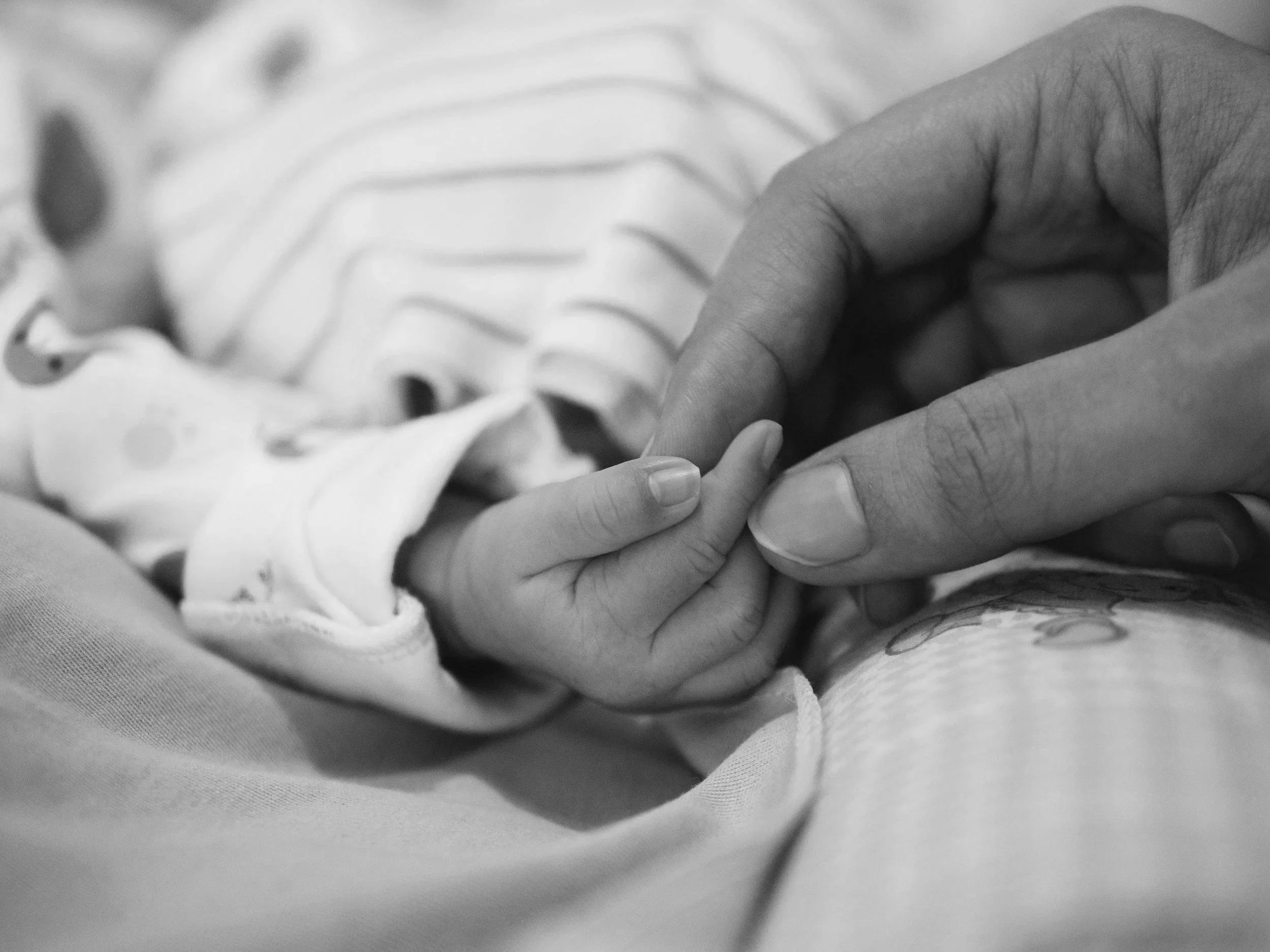 Close-up of an adult hand holding a tiny baby's hand.