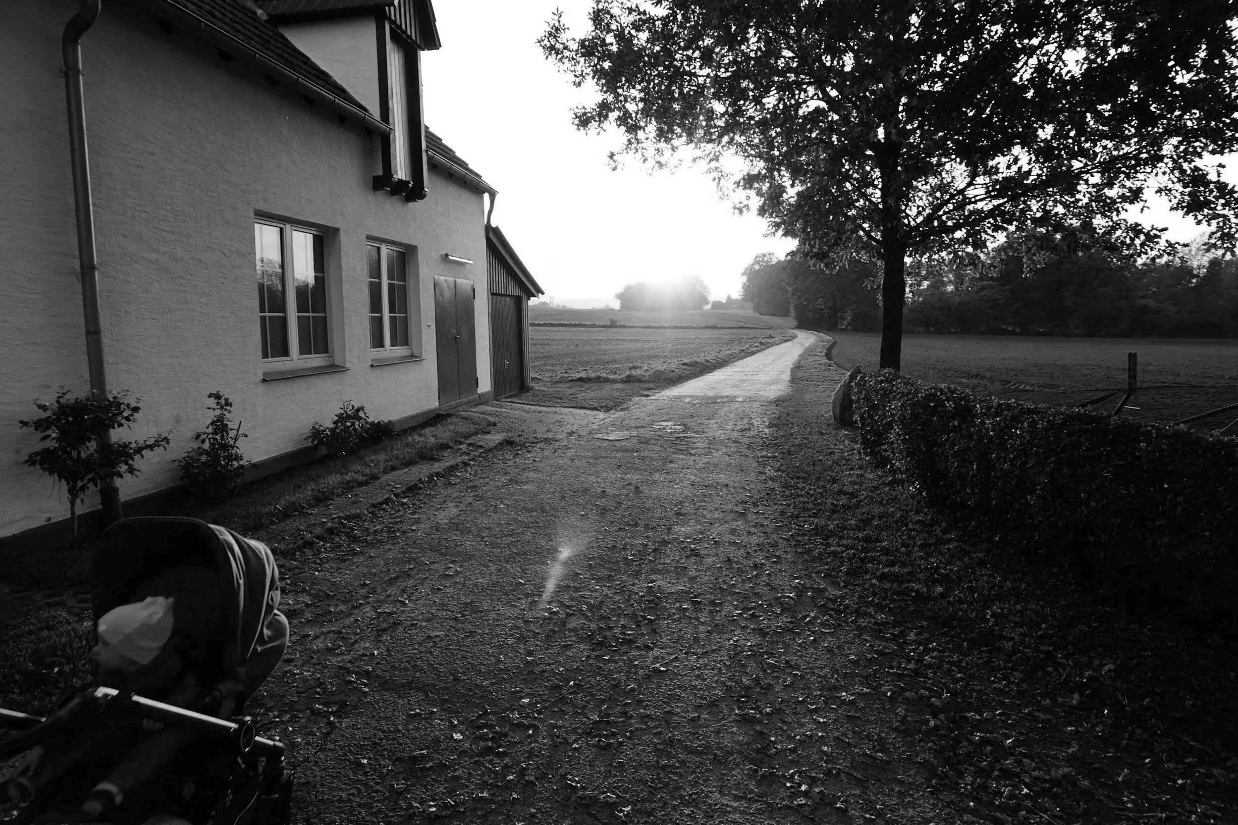 A rural scene in black and white showing a gravel road leading into the distance, flanked by a house on the left and a large tree on the right, with fields and distant trees in the background.