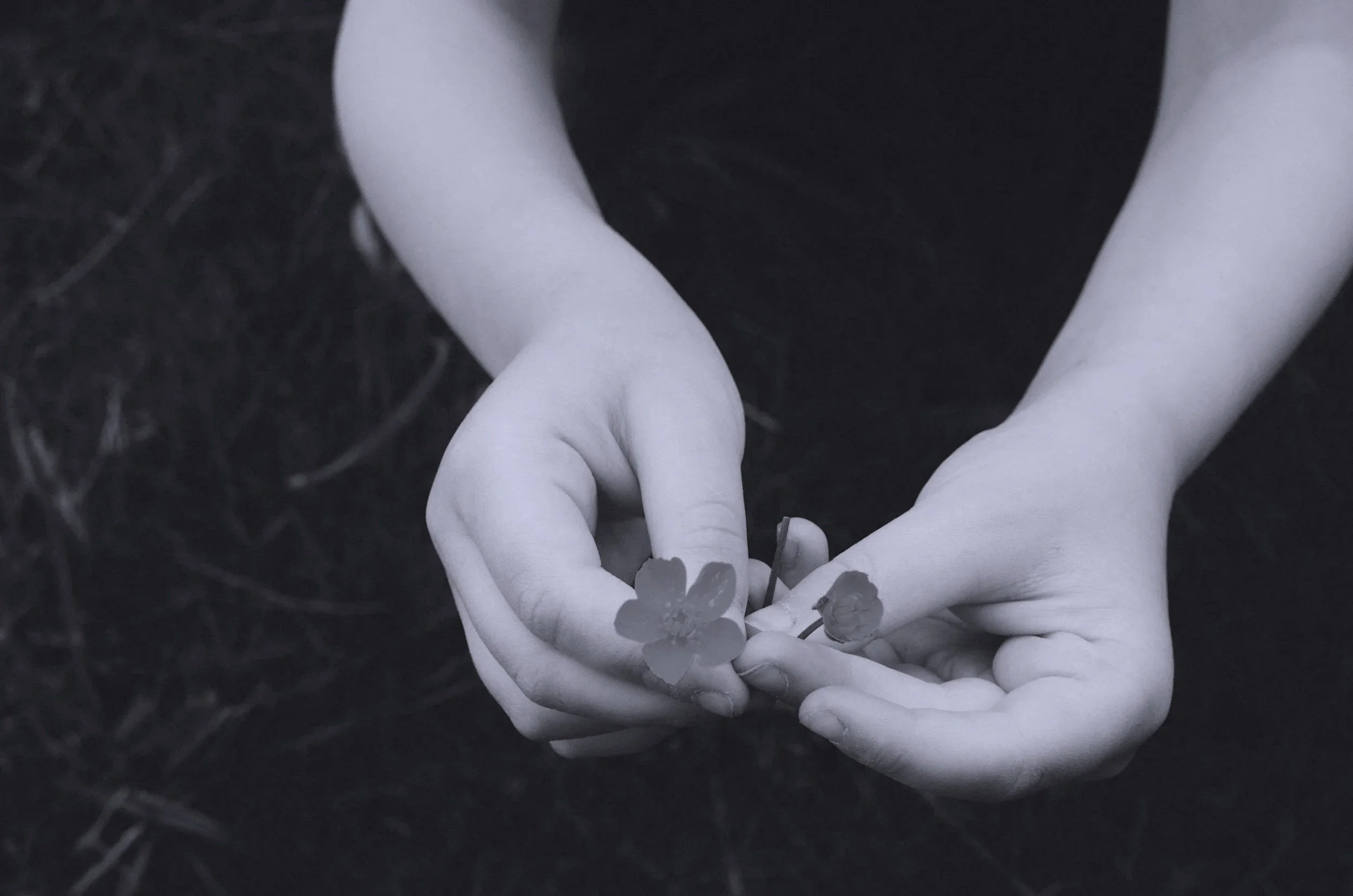Black and white photo of hands holding small flowers.