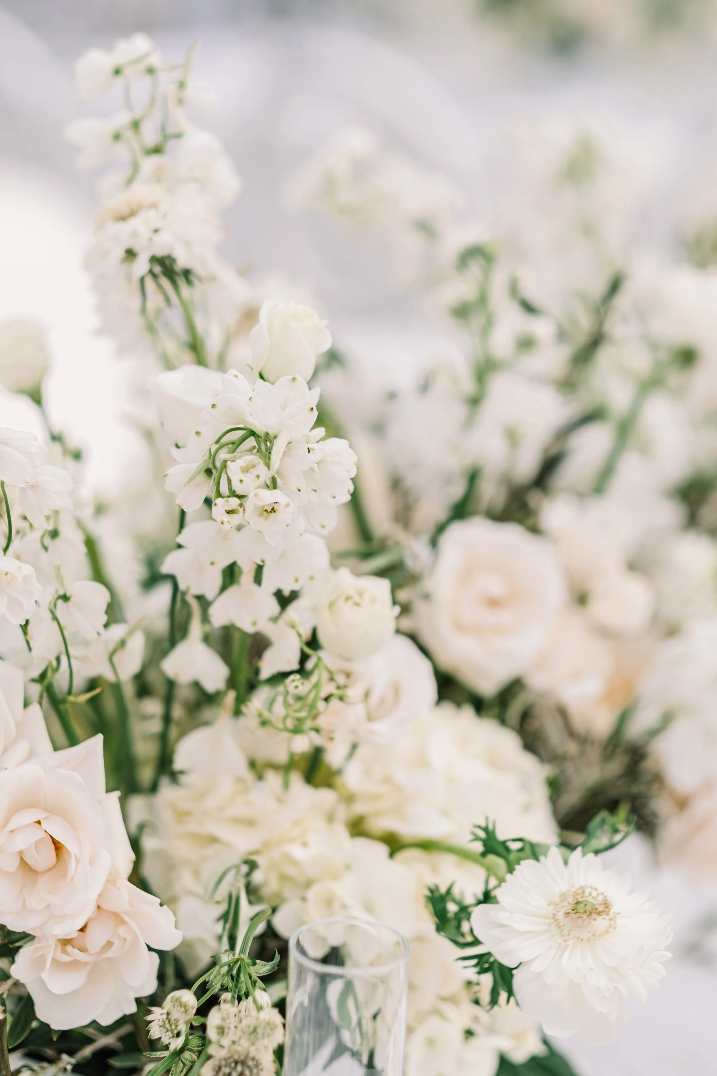MM+D_wedding_0361.jpg