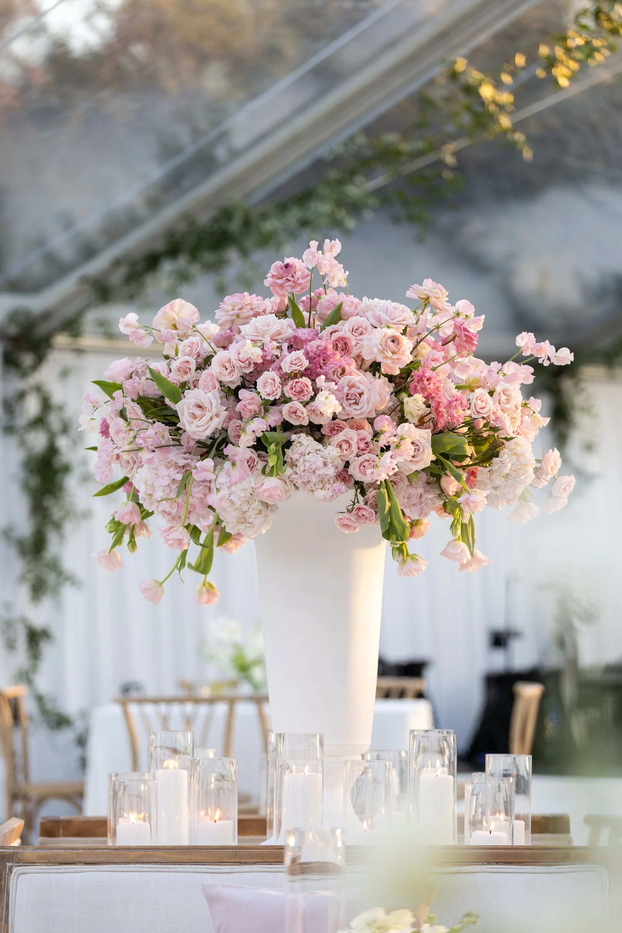 216_02-22-25_AdamsWedding_PREVIEW.JPG
