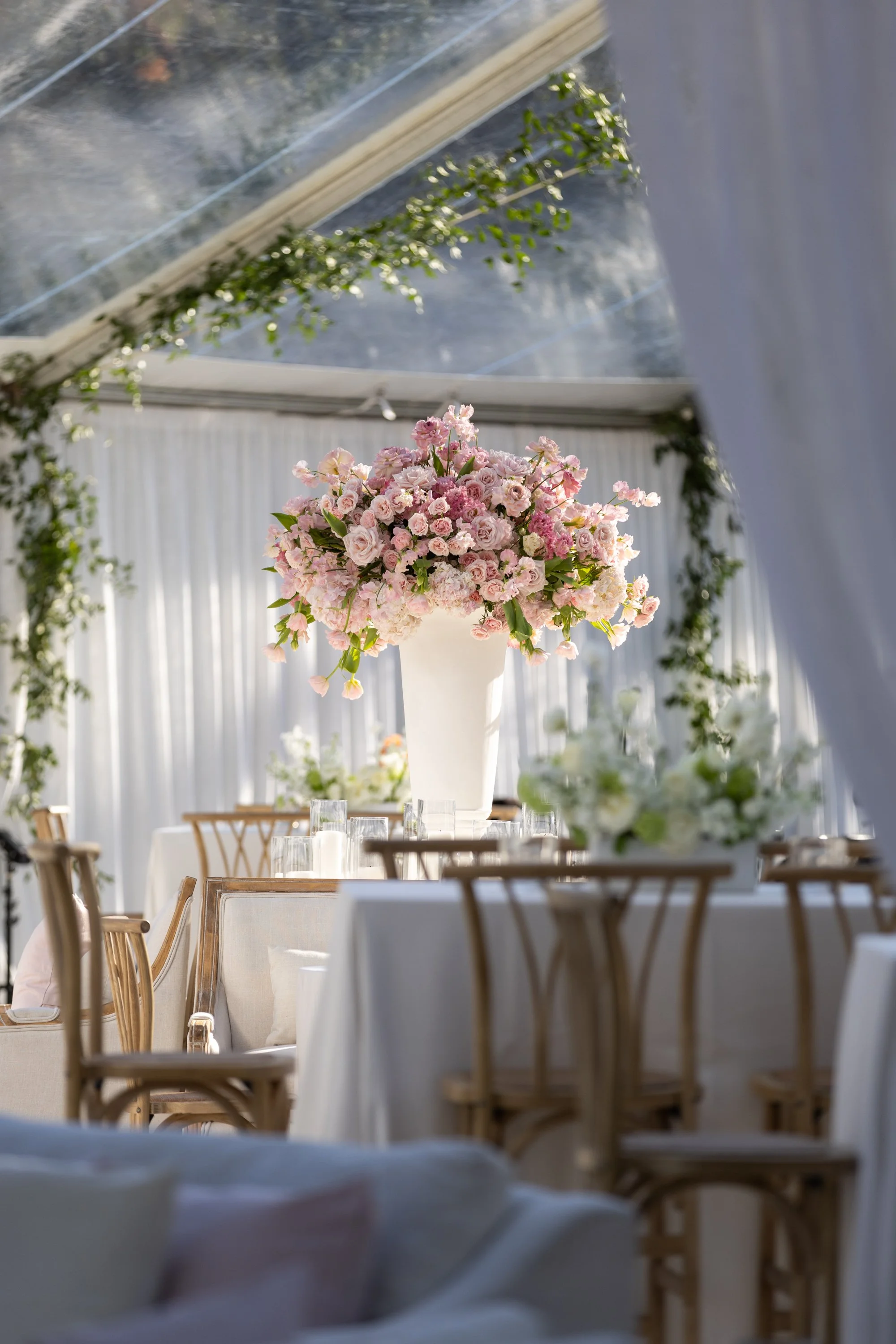 205_02-22-25_AdamsWedding_PREVIEW.JPG