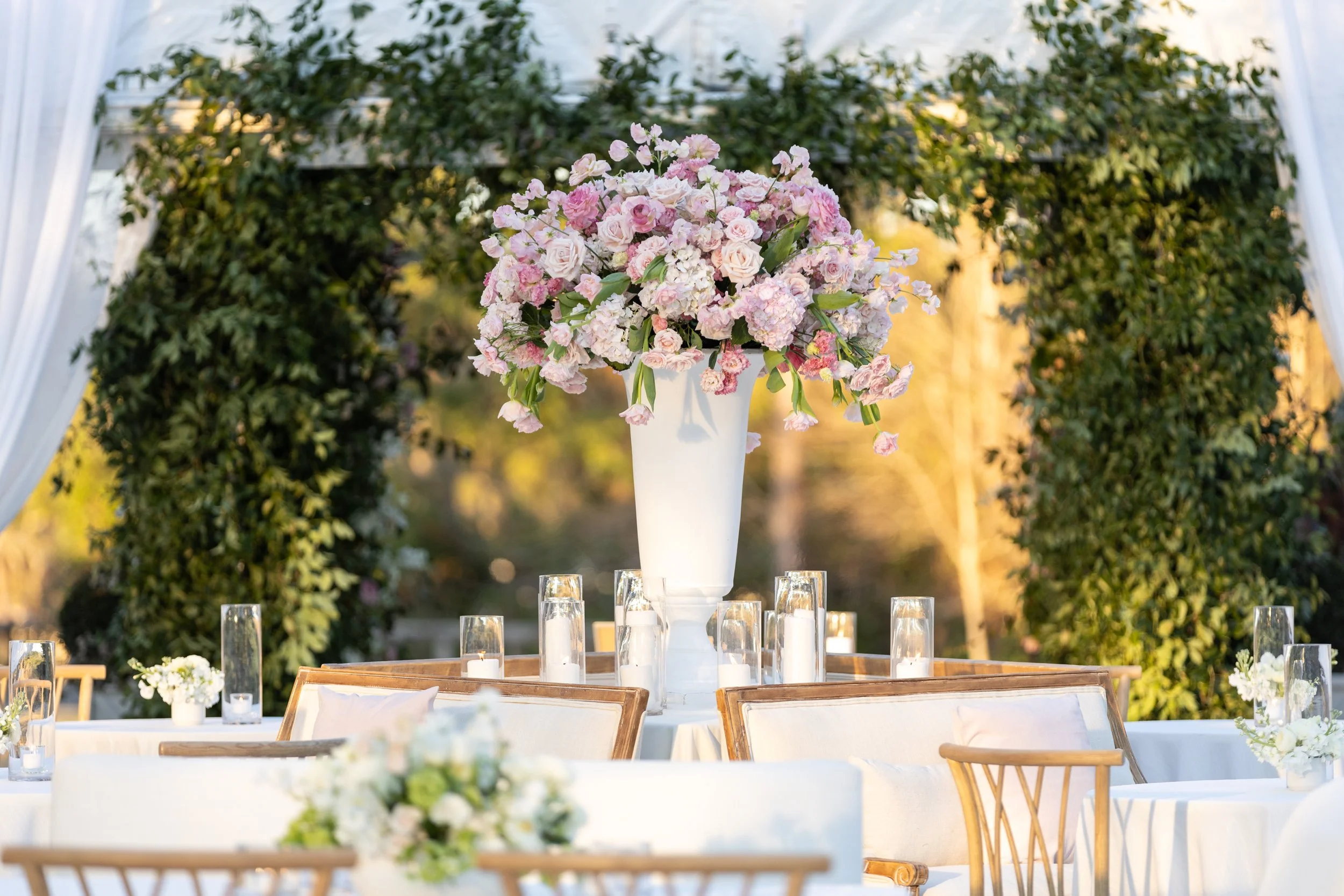 213_02-22-25_AdamsWedding_PREVIEW.JPG